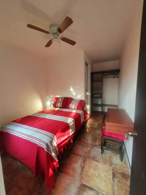 Casa Canseco view 5