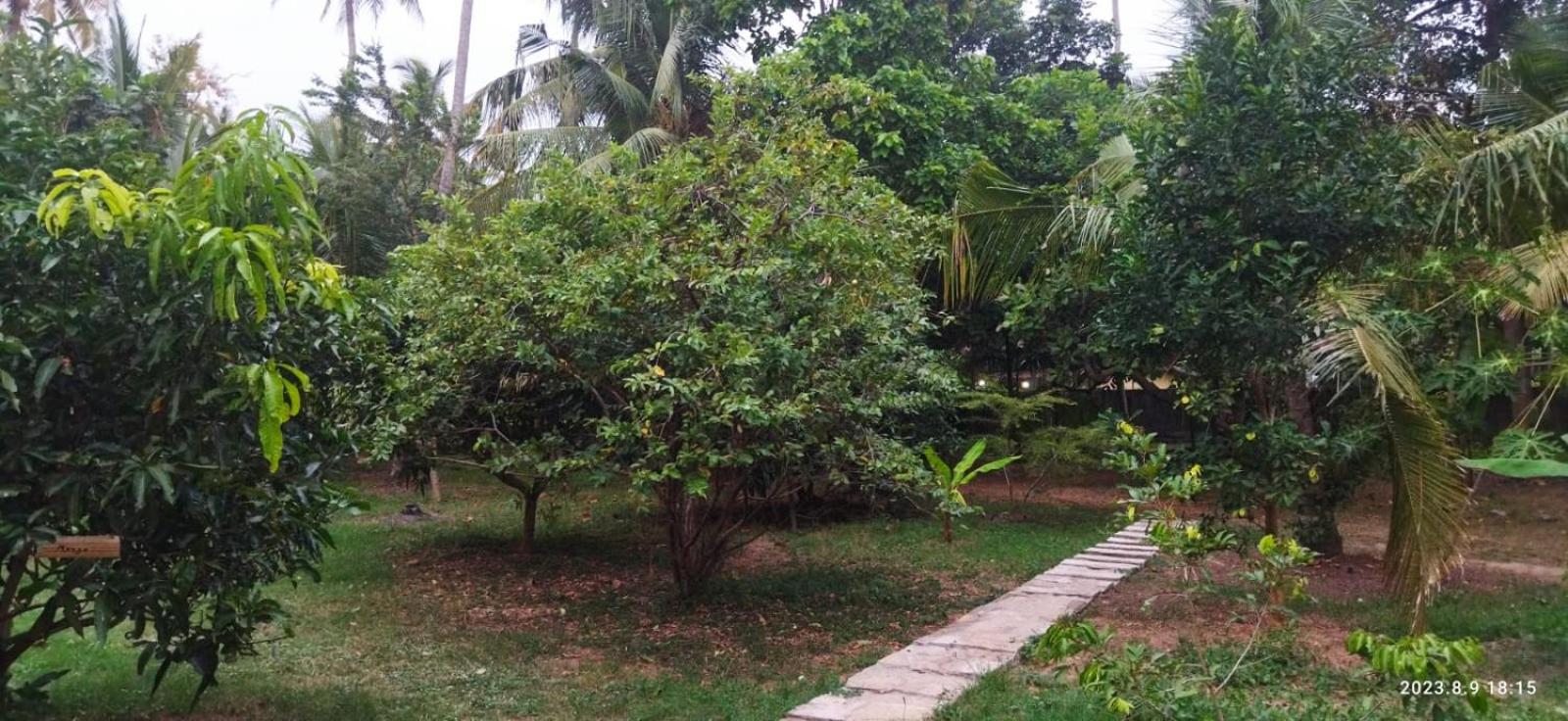 Colombo Airport-Transit-Villa Butterfly Stay Guesthouse view 3