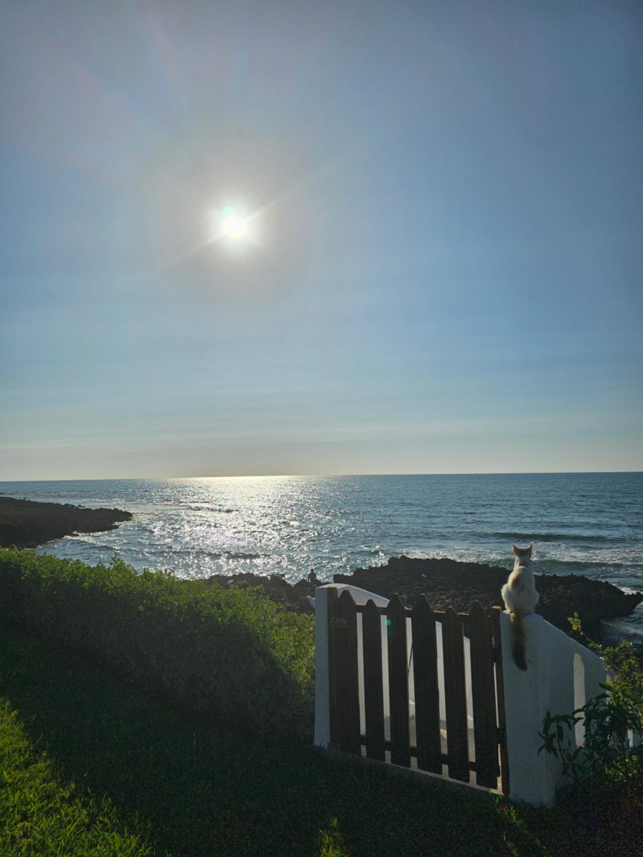 Océan Beach view 2