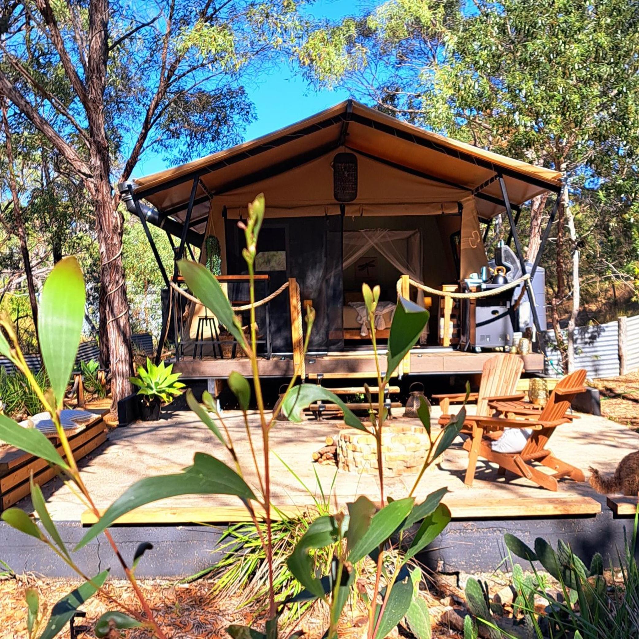 Moogie Glamp