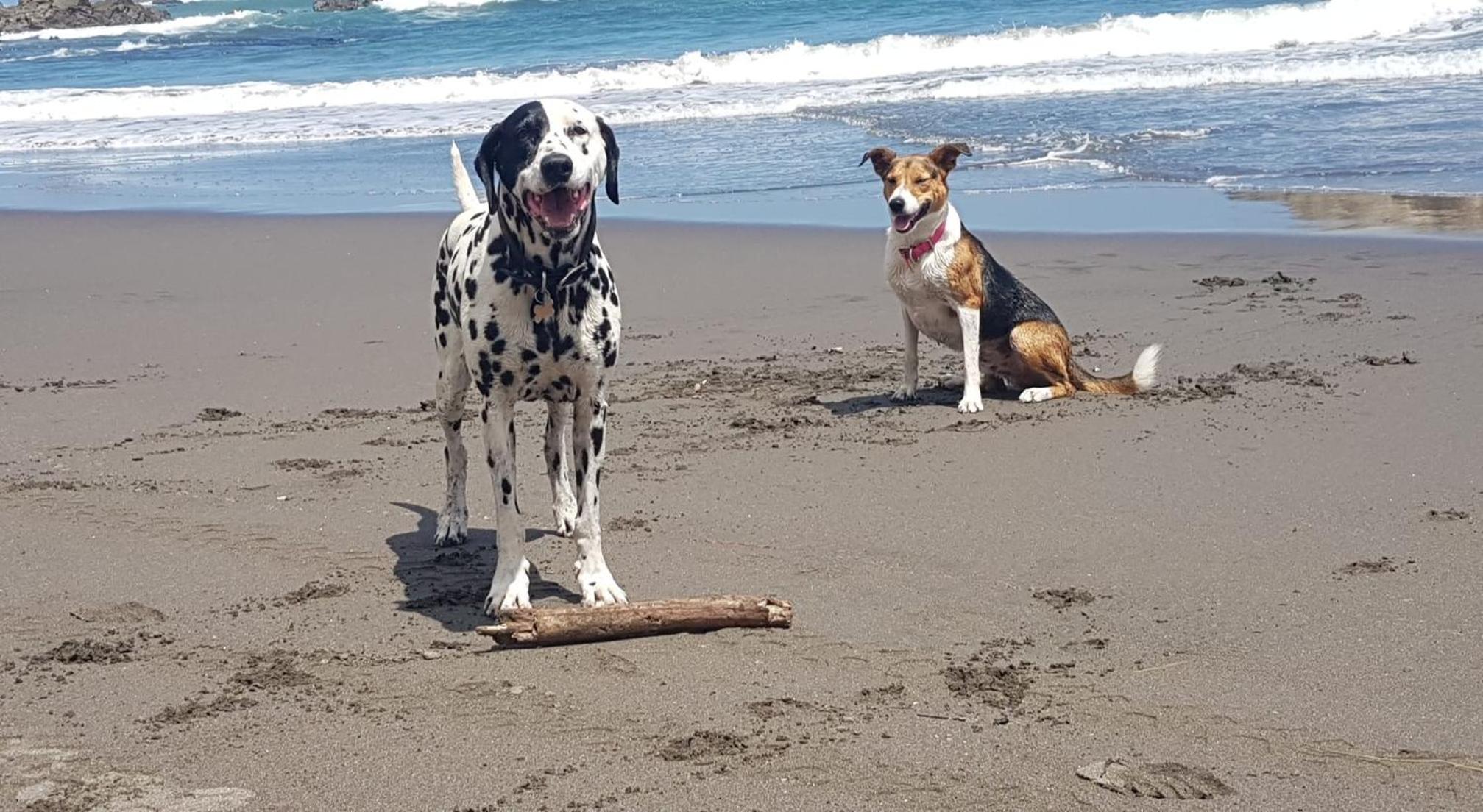 Port Waikato Holiday Park