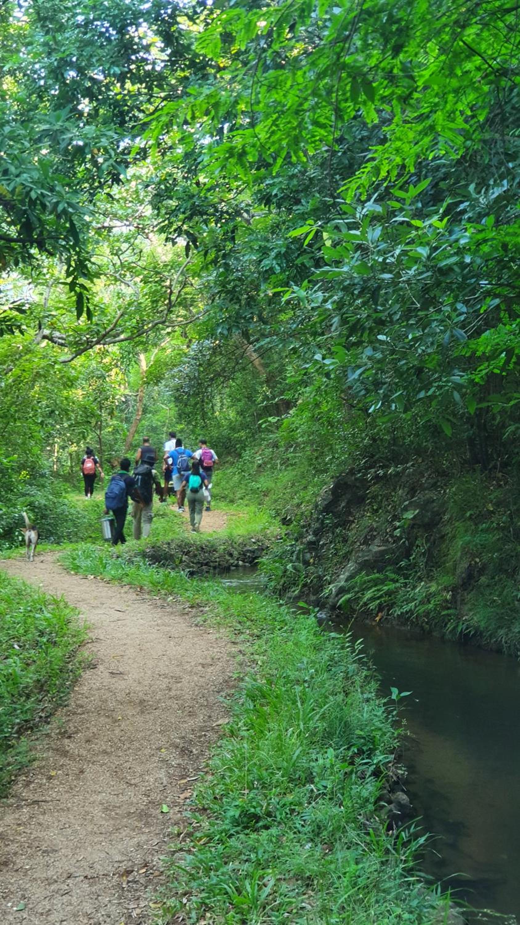 Mapakada Village - Mahiyanganaya