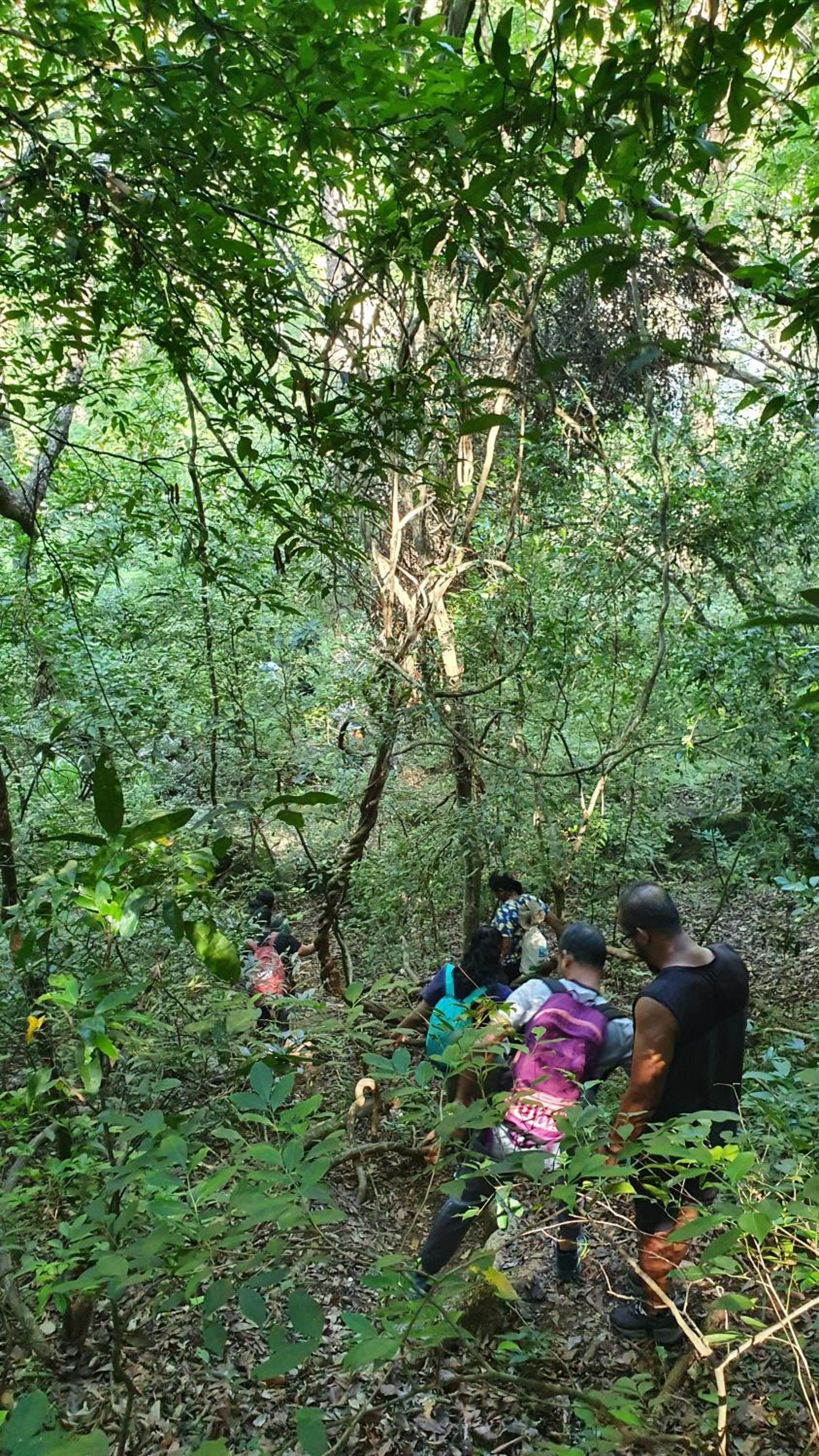 Mapakada Village - Mahiyanganaya