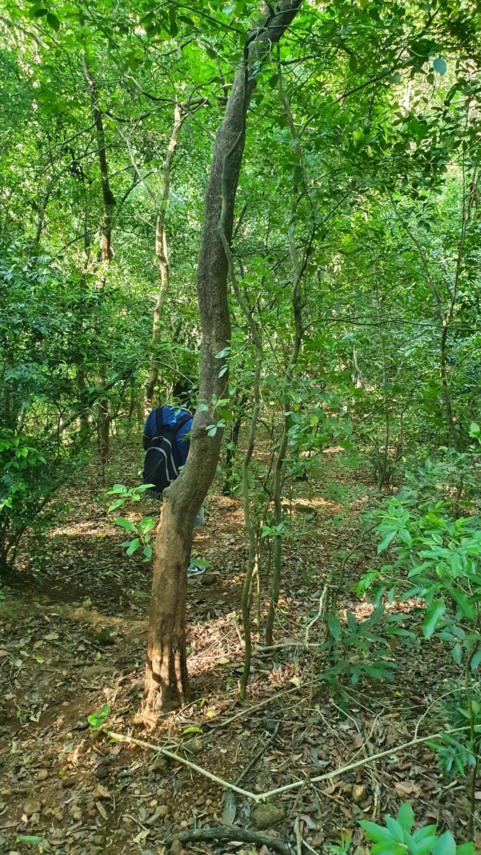 Mapakada Village - Mahiyanganaya