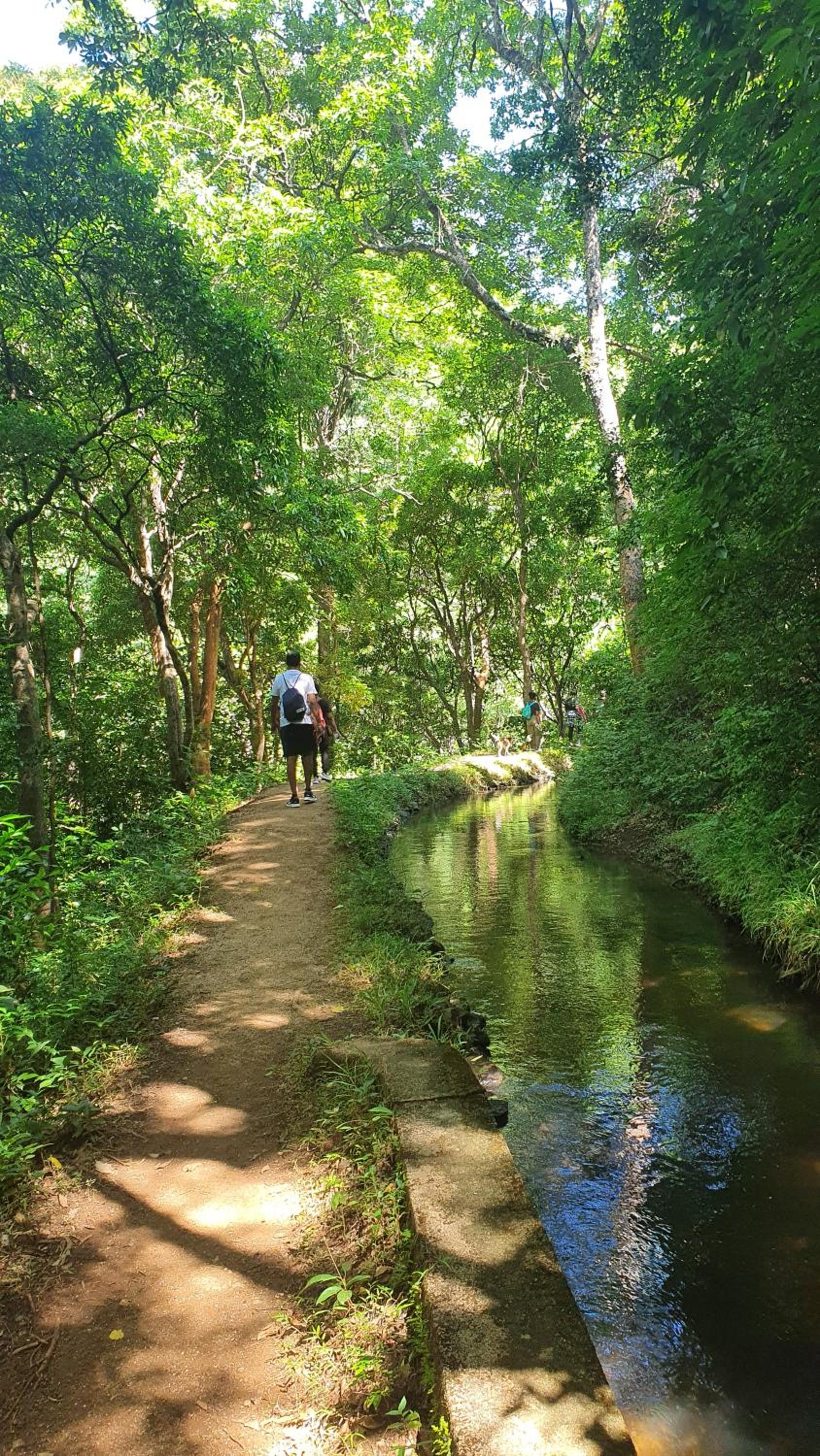 Mapakada Village - Mahiyanganaya