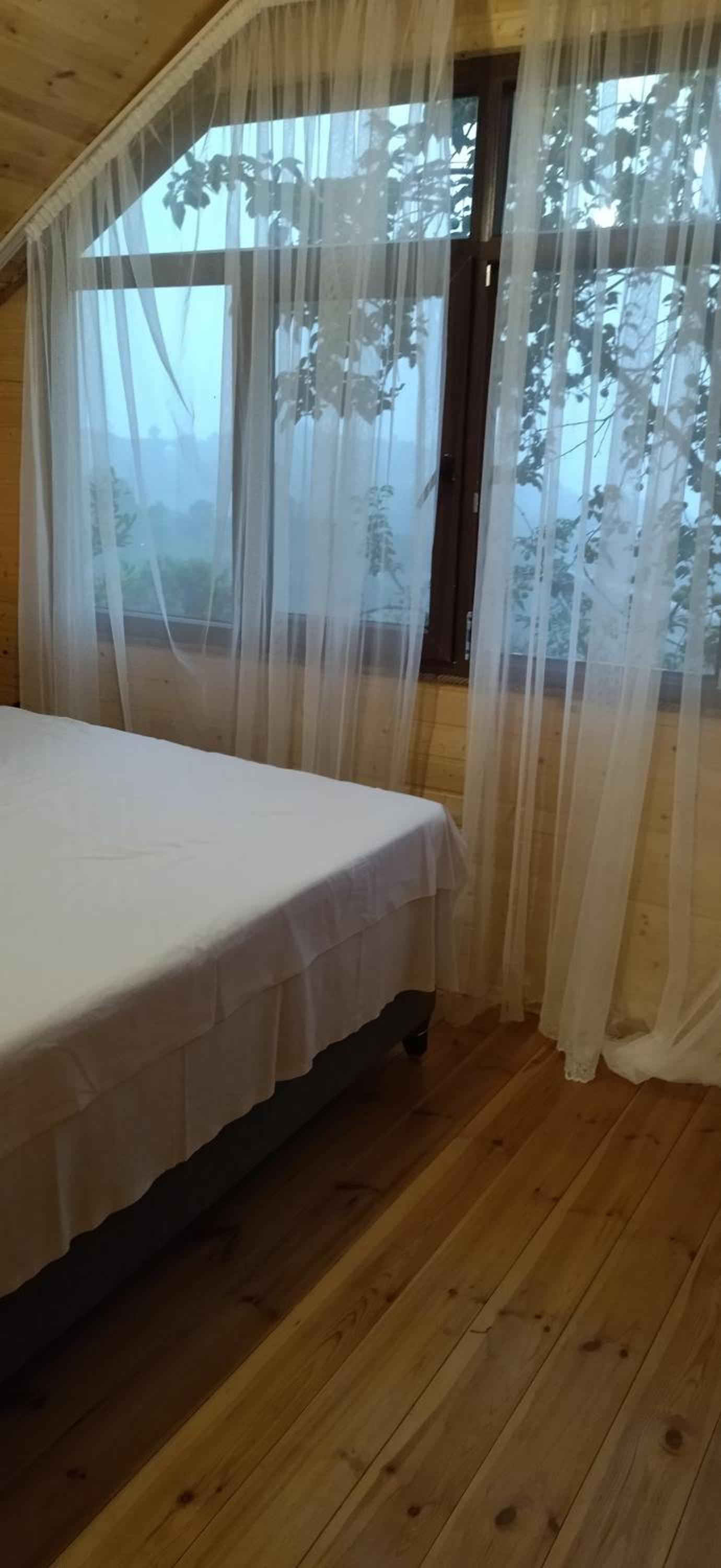 Eco guesthouse in Makhinjauri