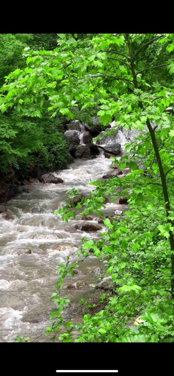 Sapanca Keyf-i Dere Bungalov view 5
