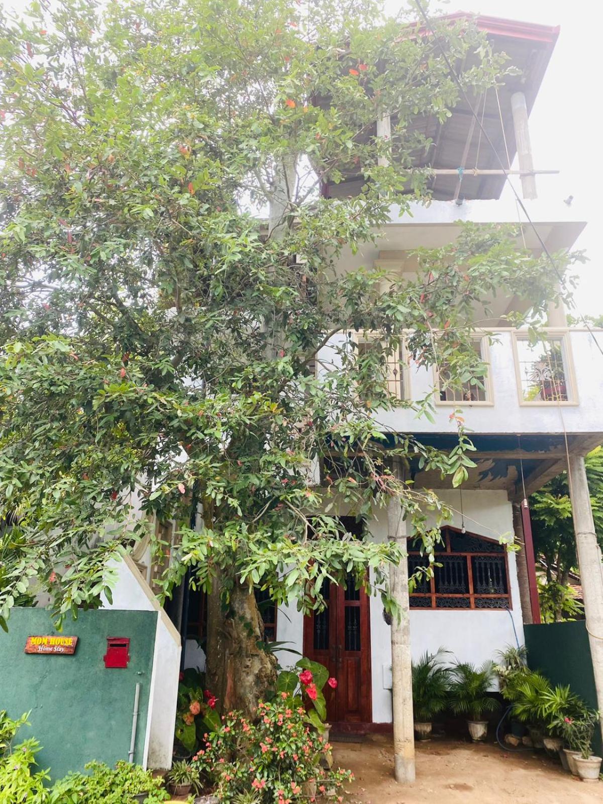 New mom house