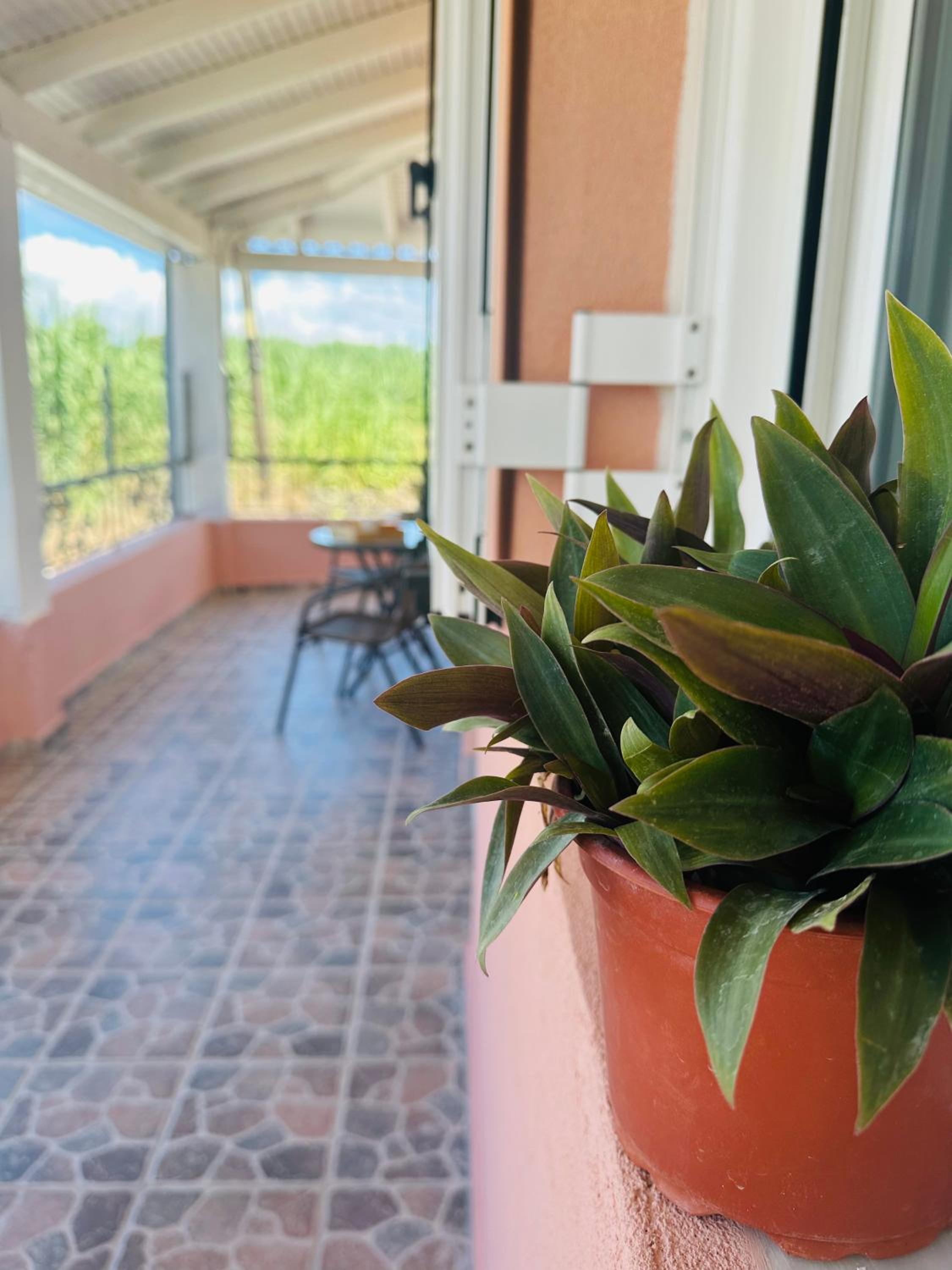 Venetian Gem Central Corfu Retreat