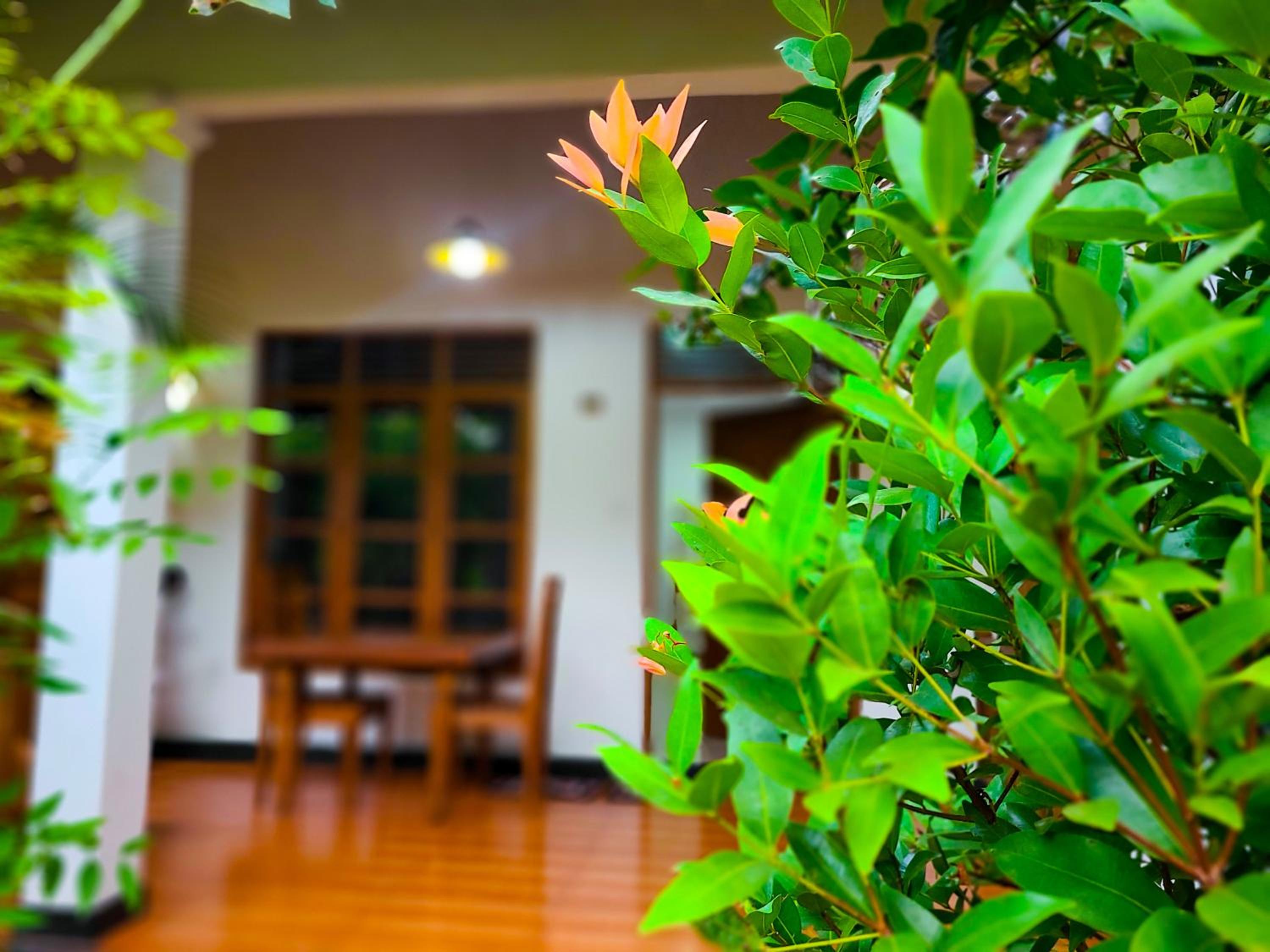 Woodholic Homestay