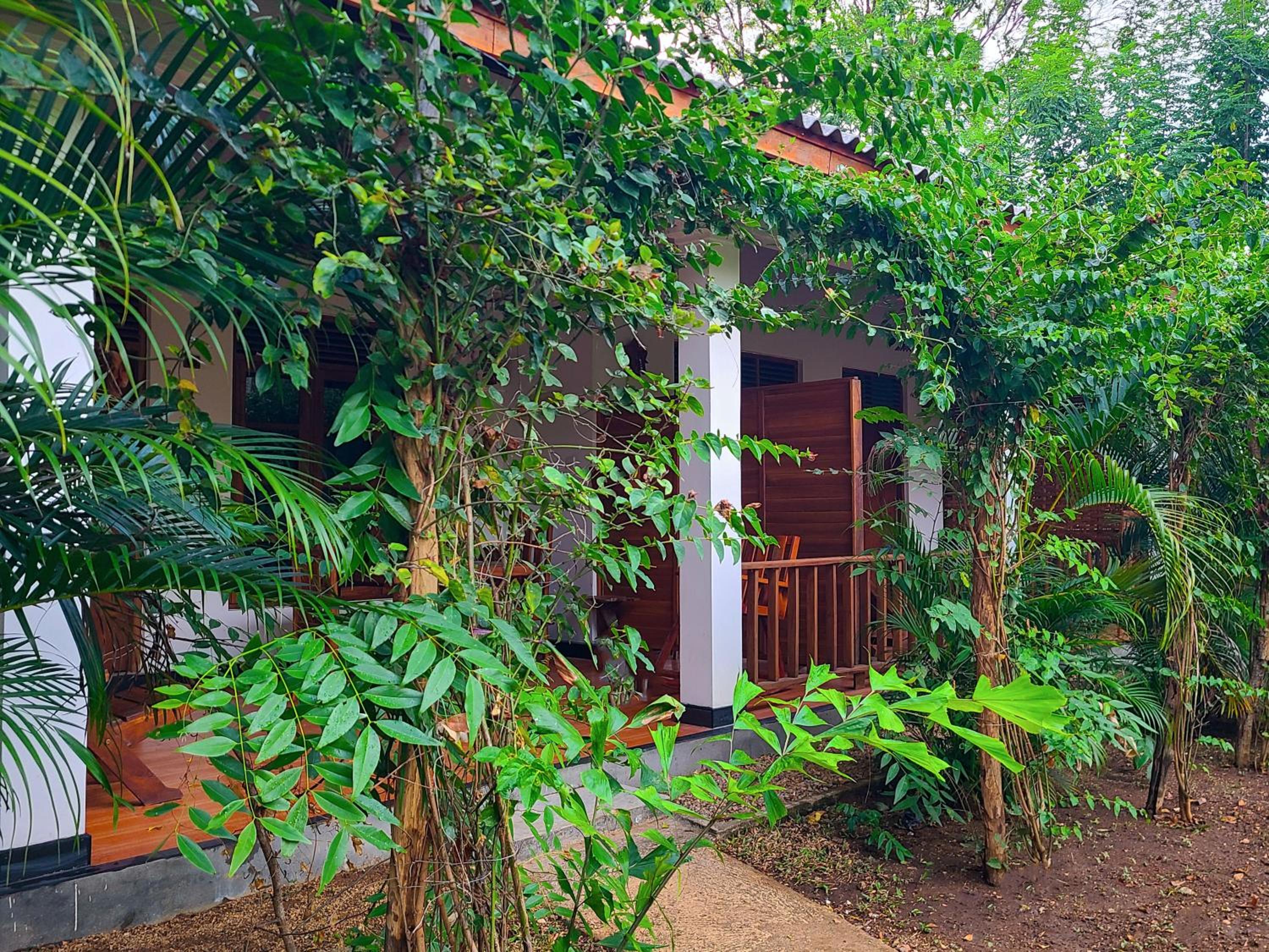 Woodholic Homestay