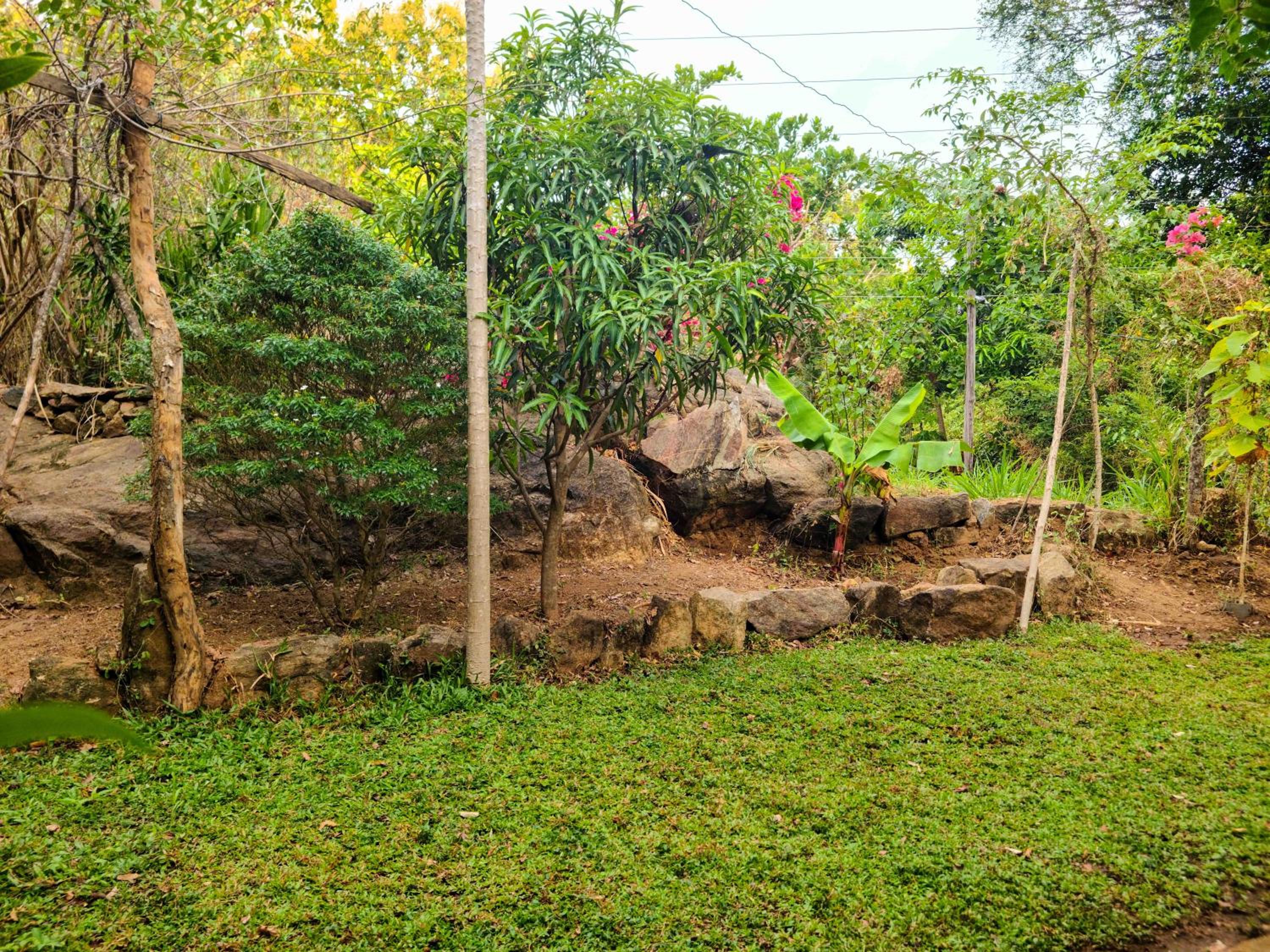 Woodholic Homestay