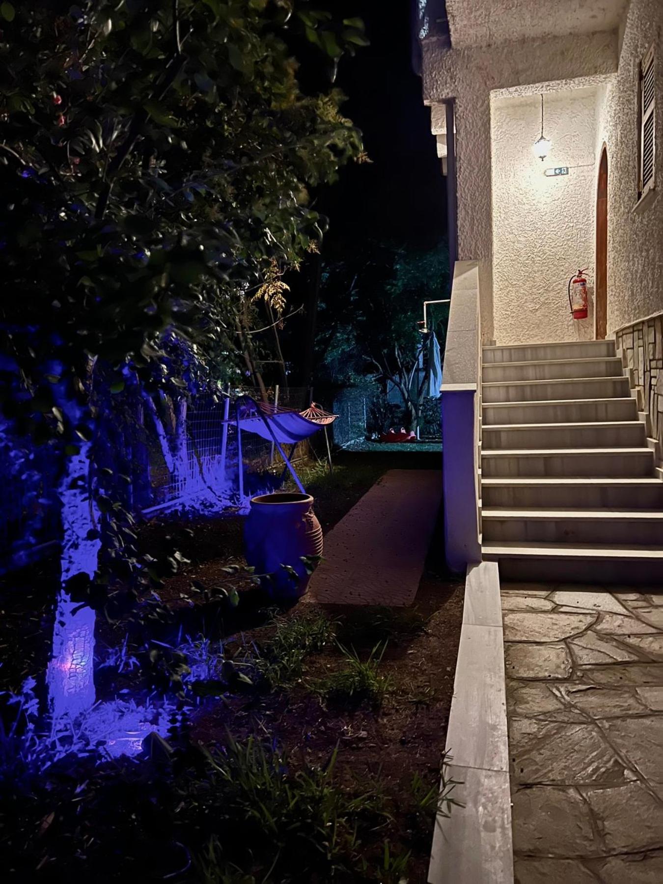 tatiana house