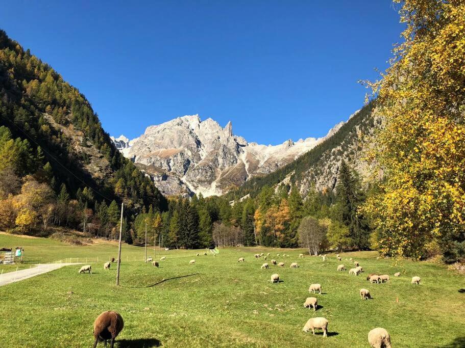 Chalet with style in the beautiful Val Ferret