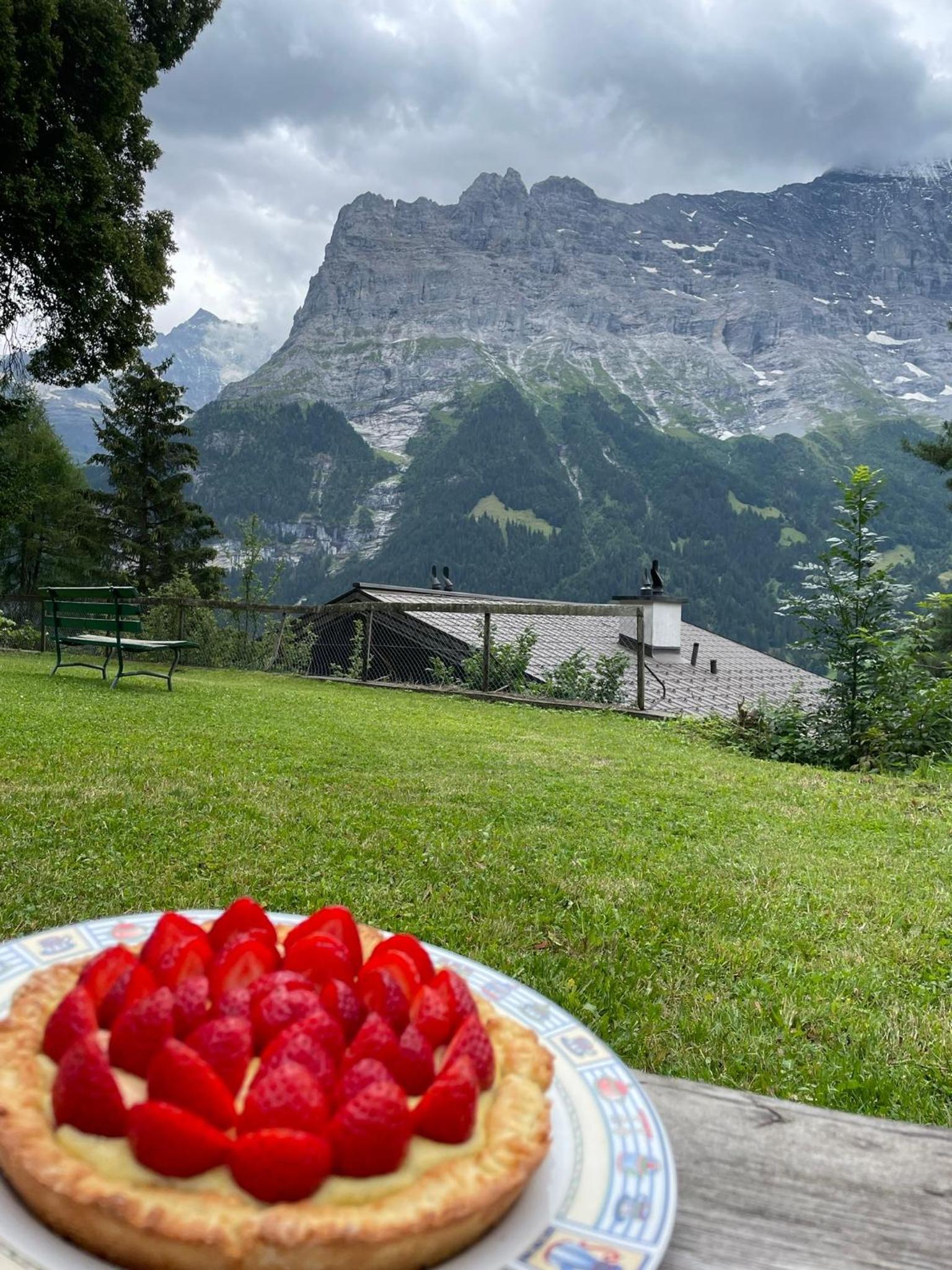 Eiger View Alpine Lodge view 2