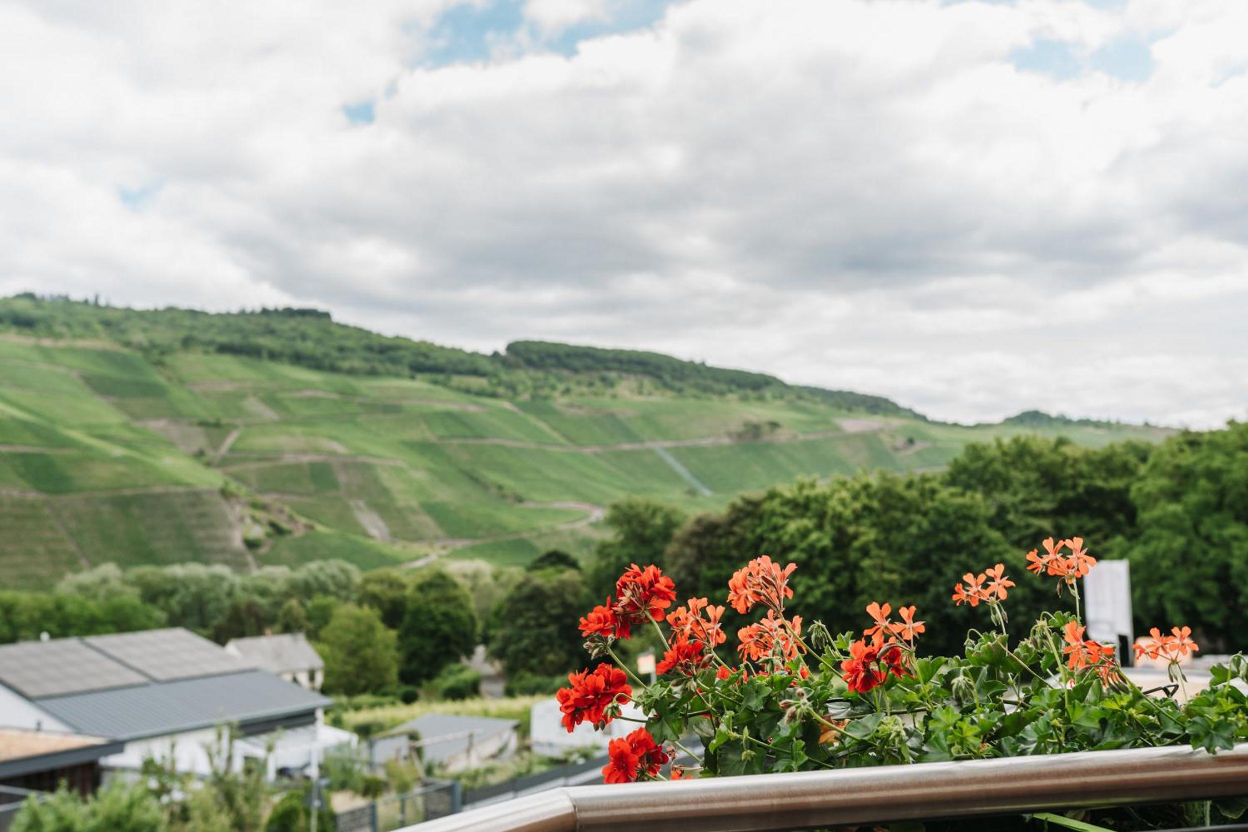 Wein- und Gästehaus Schwaab&Sohn