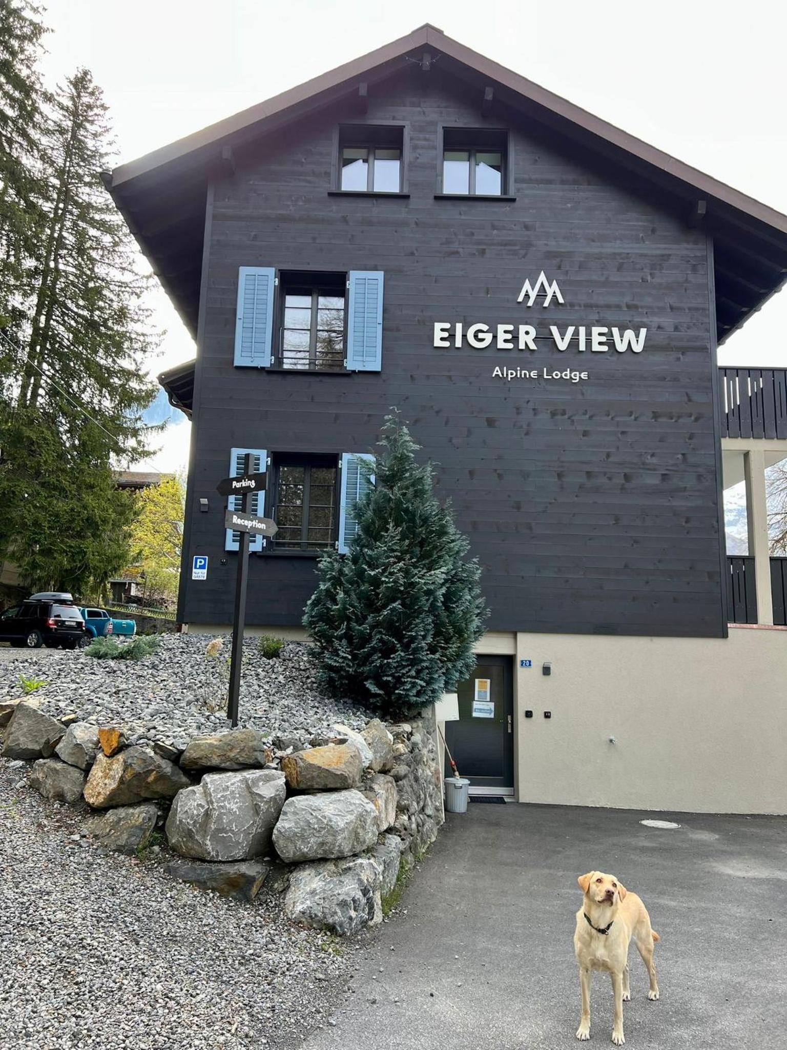 Photo 19