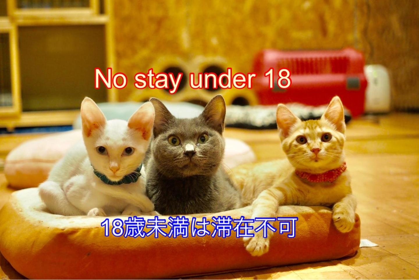 other