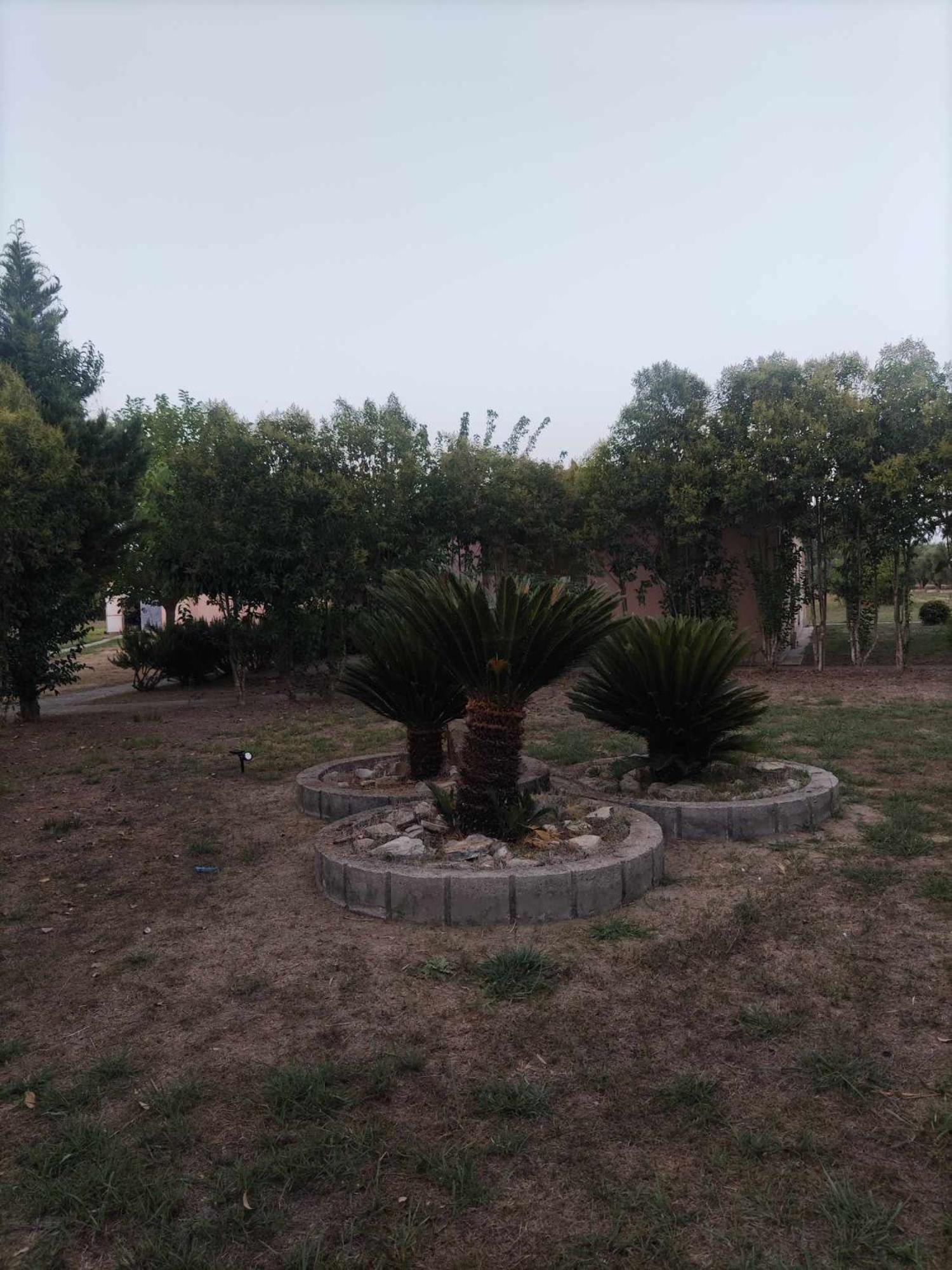 Photo 32
