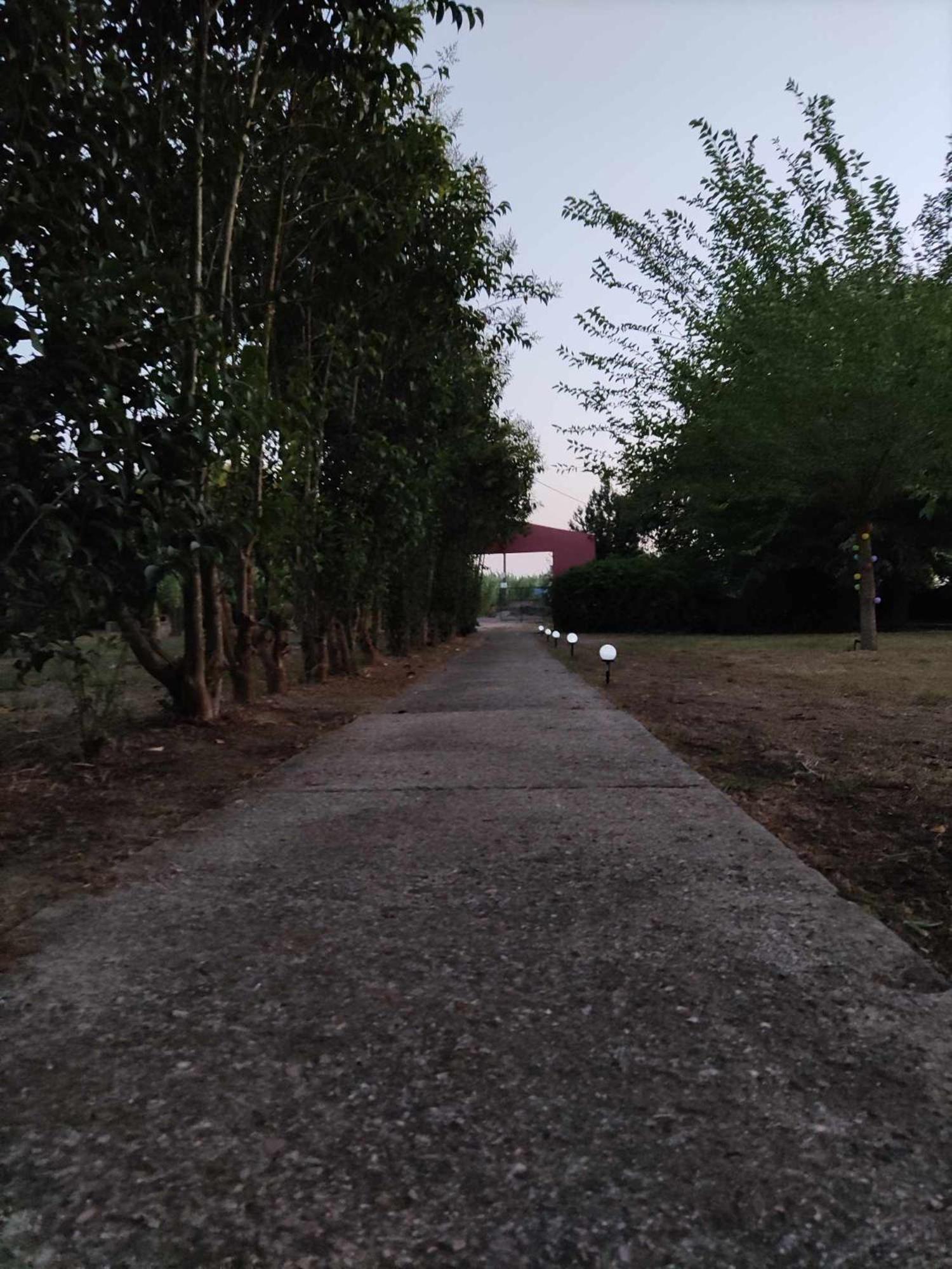 Photo 31