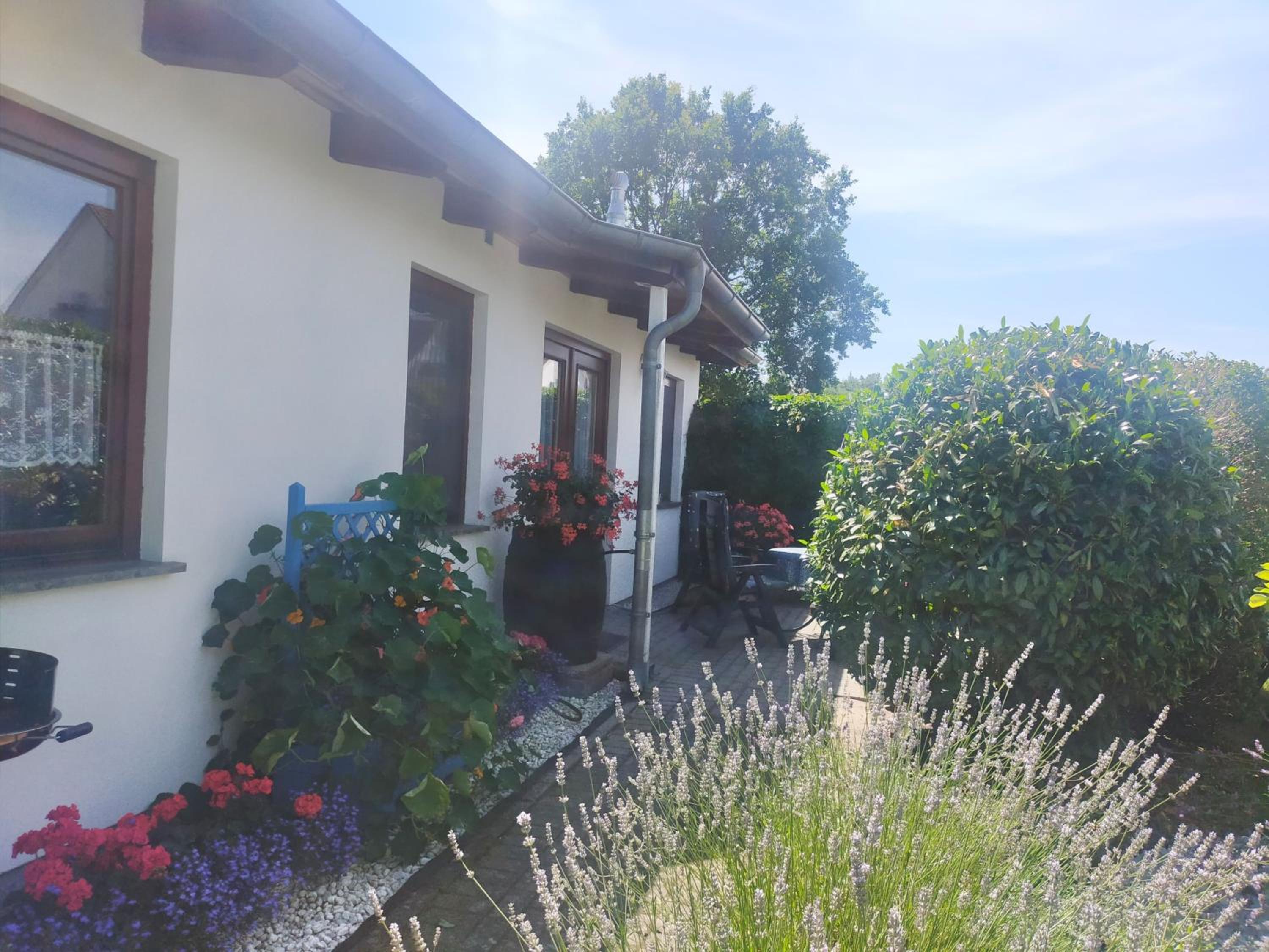 Bungalow _Carpe diem_