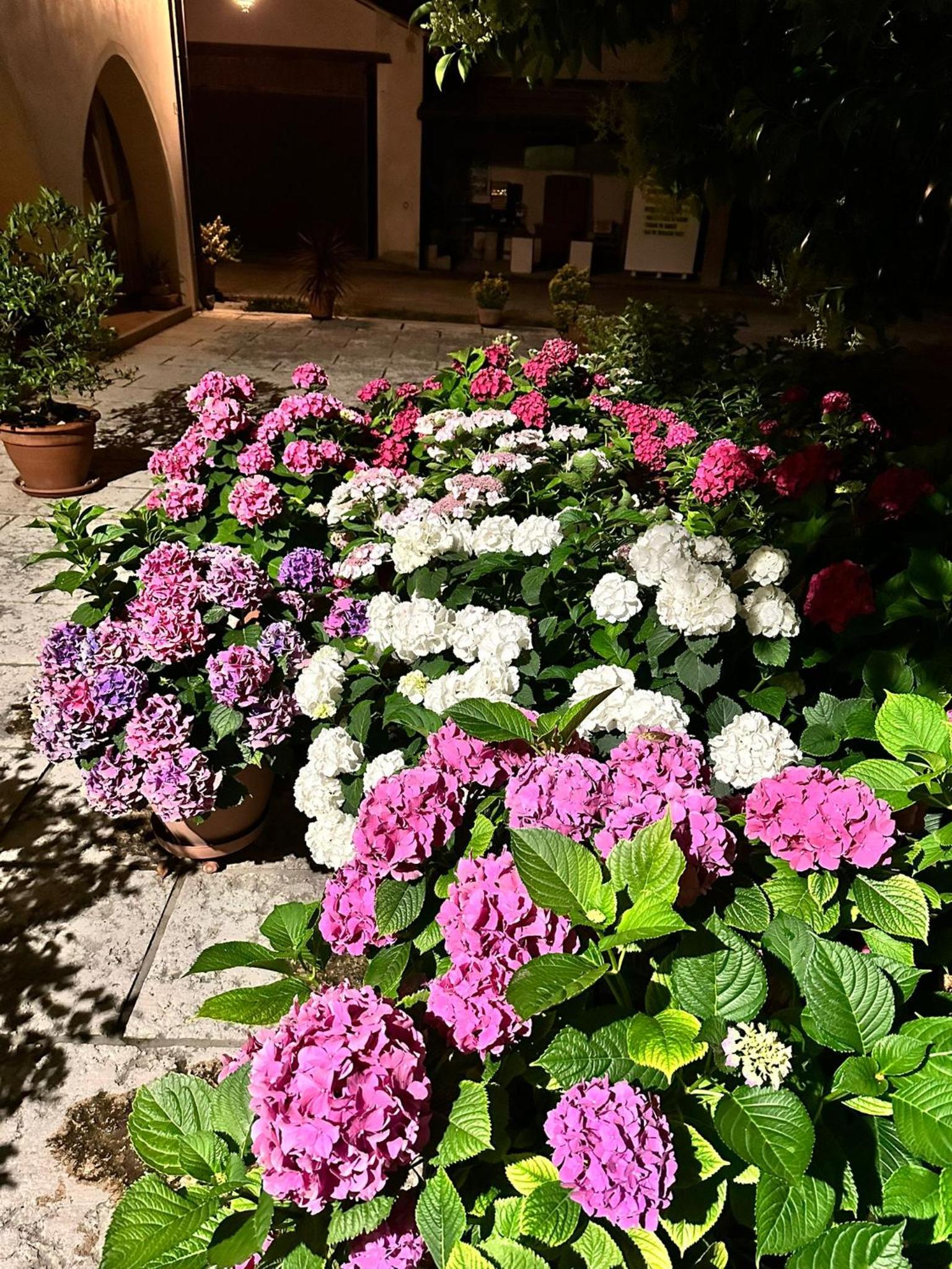 B&B LE ORTENSIE view 2