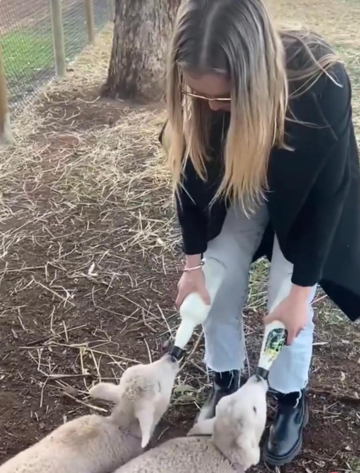 human