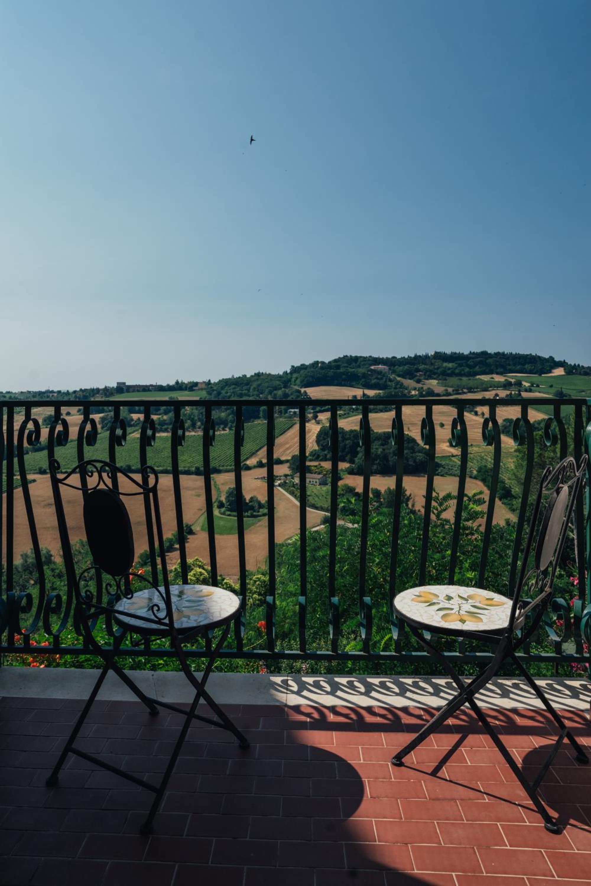balance & terrace