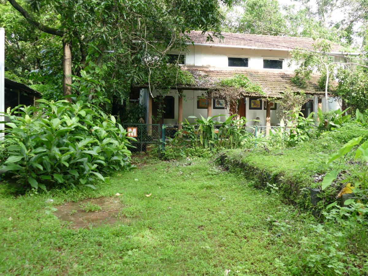 Photo 13
