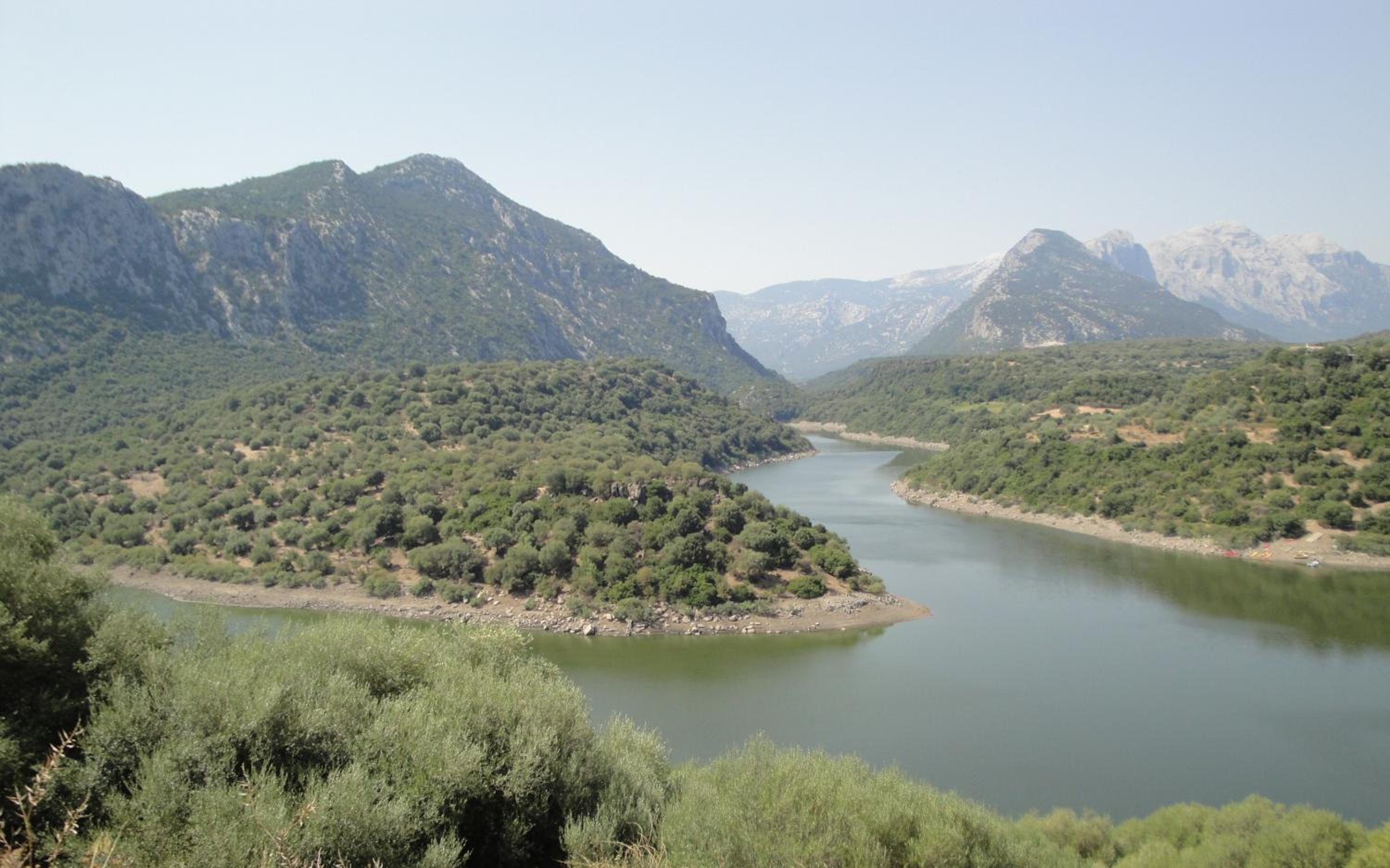 Photo 91