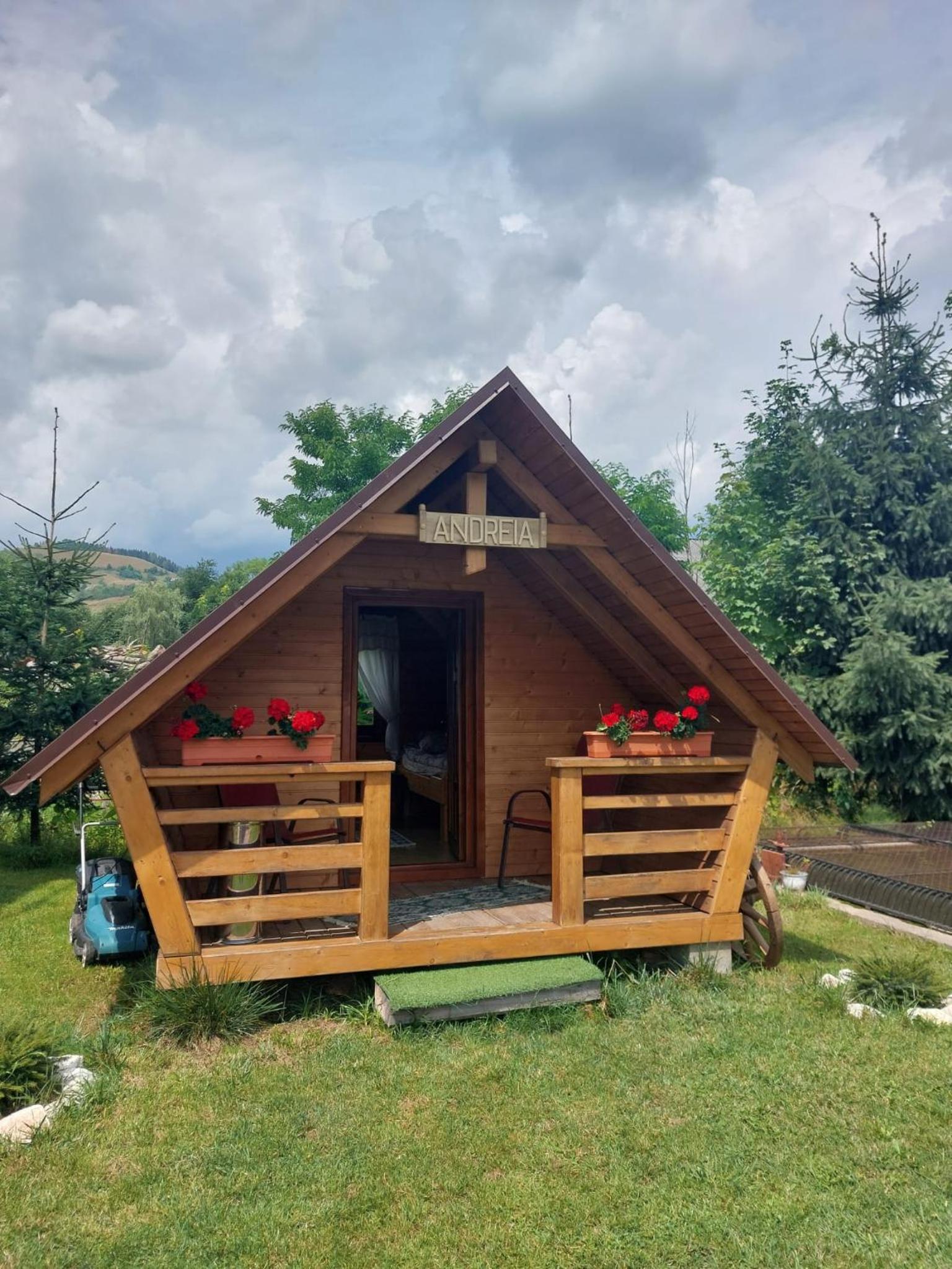 Cazare la Munte cu Piscină view 2