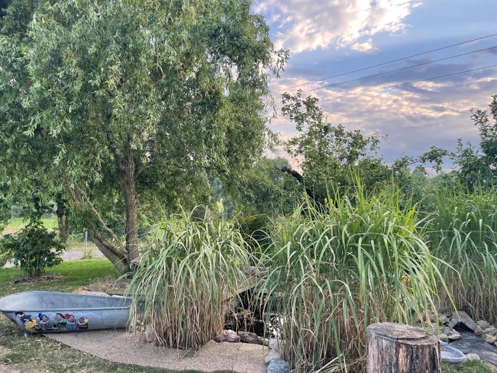 other