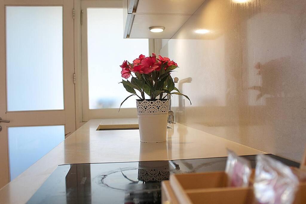 Oporto Early Sunshine Apartment