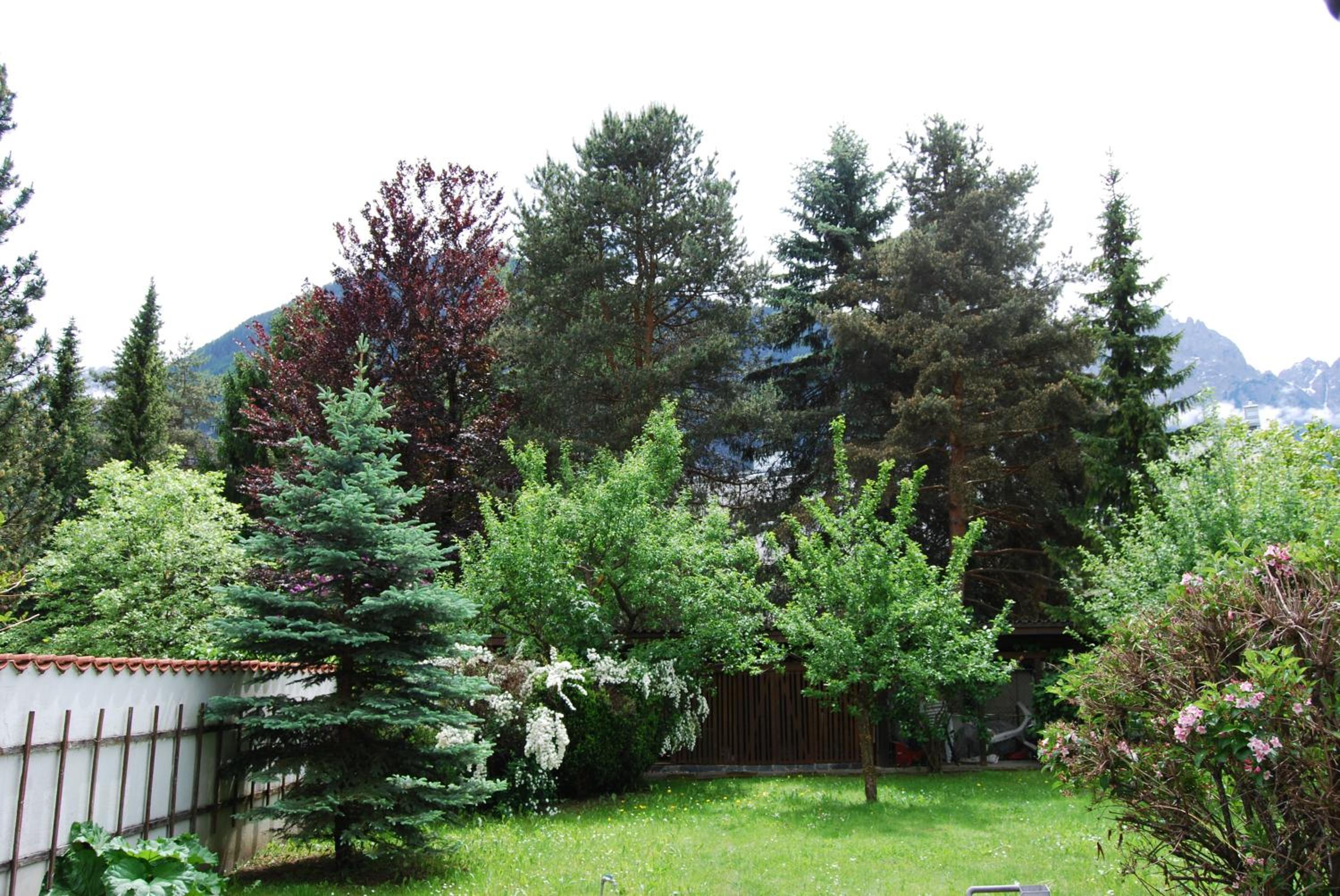 Photo 31