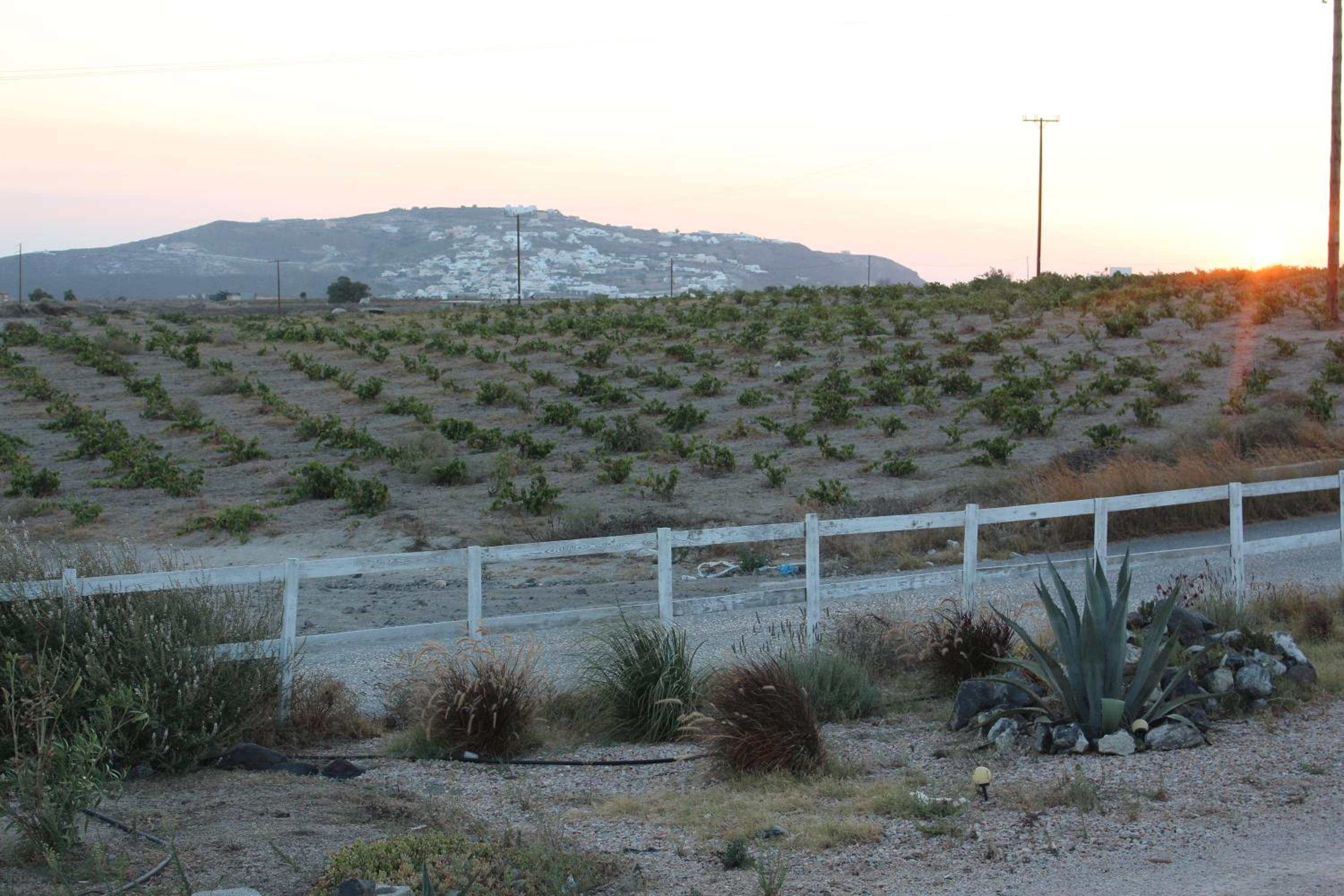 Photo 44