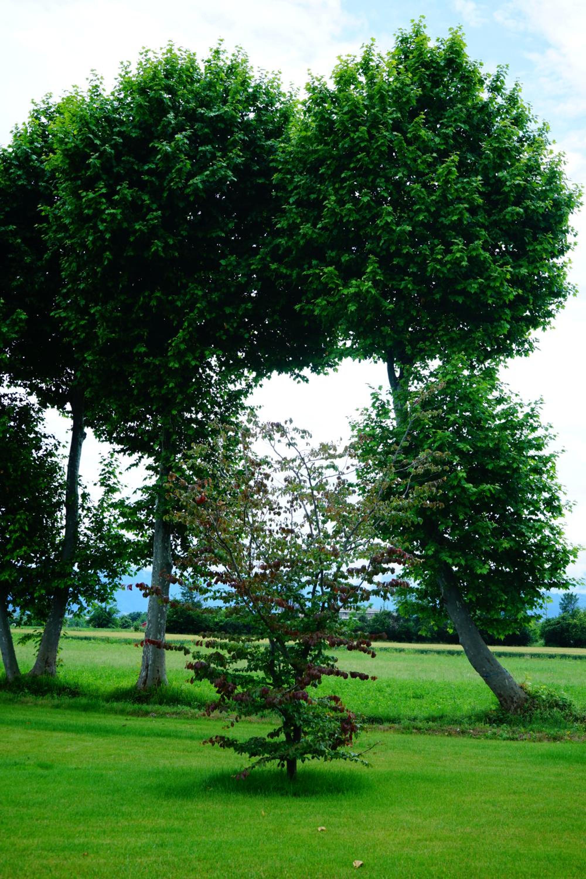Casa Vola Bisalta view 3