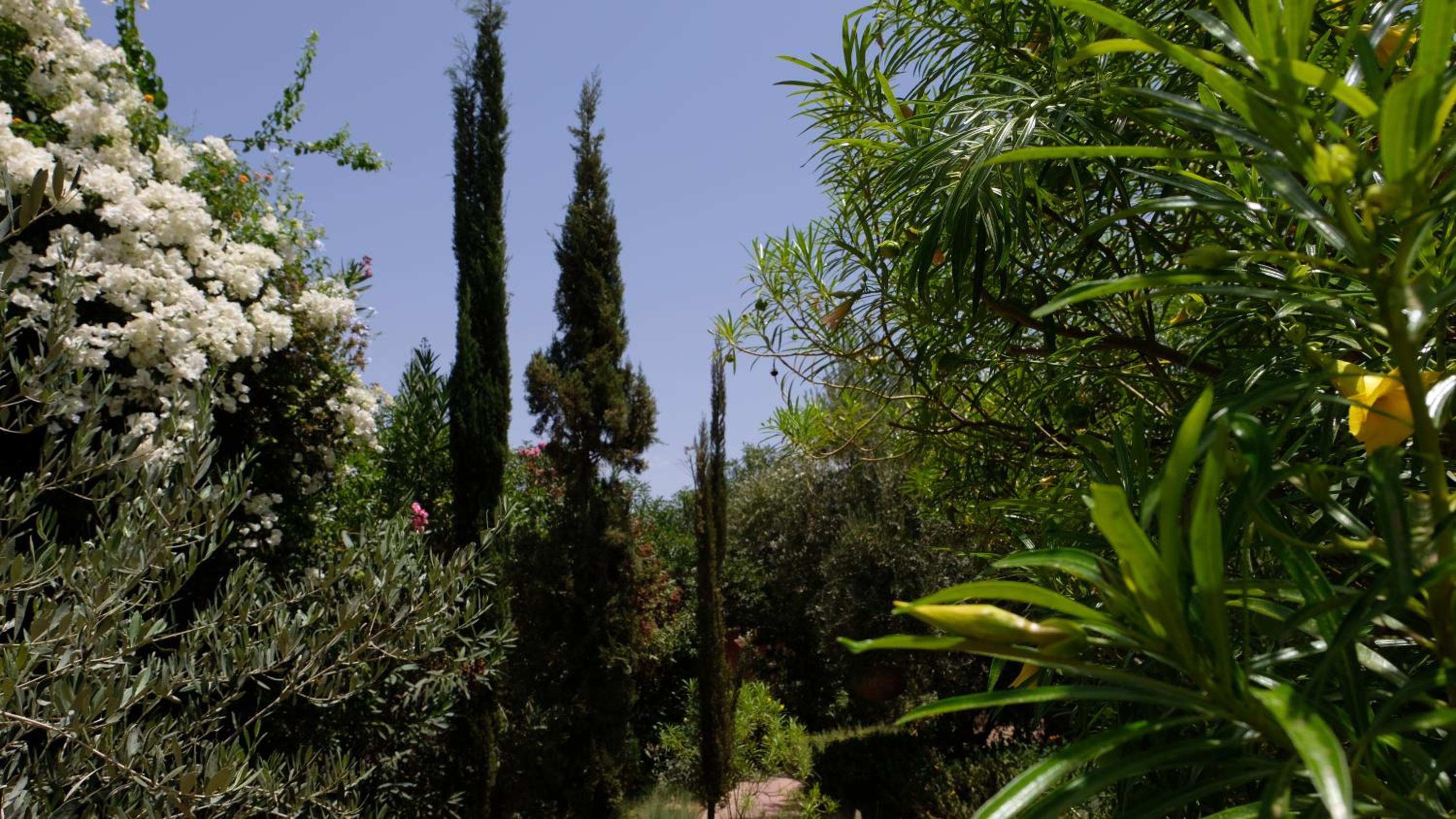 Photo 50