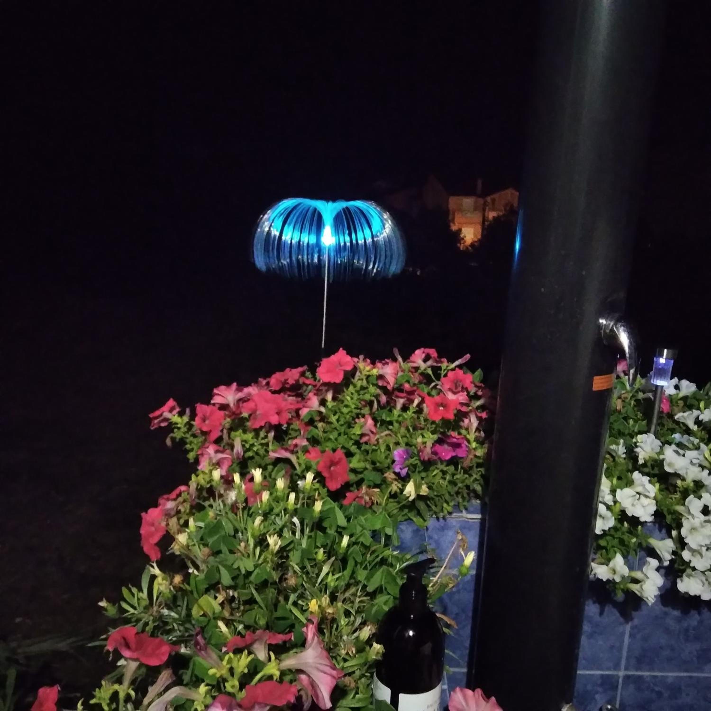 Photo 41