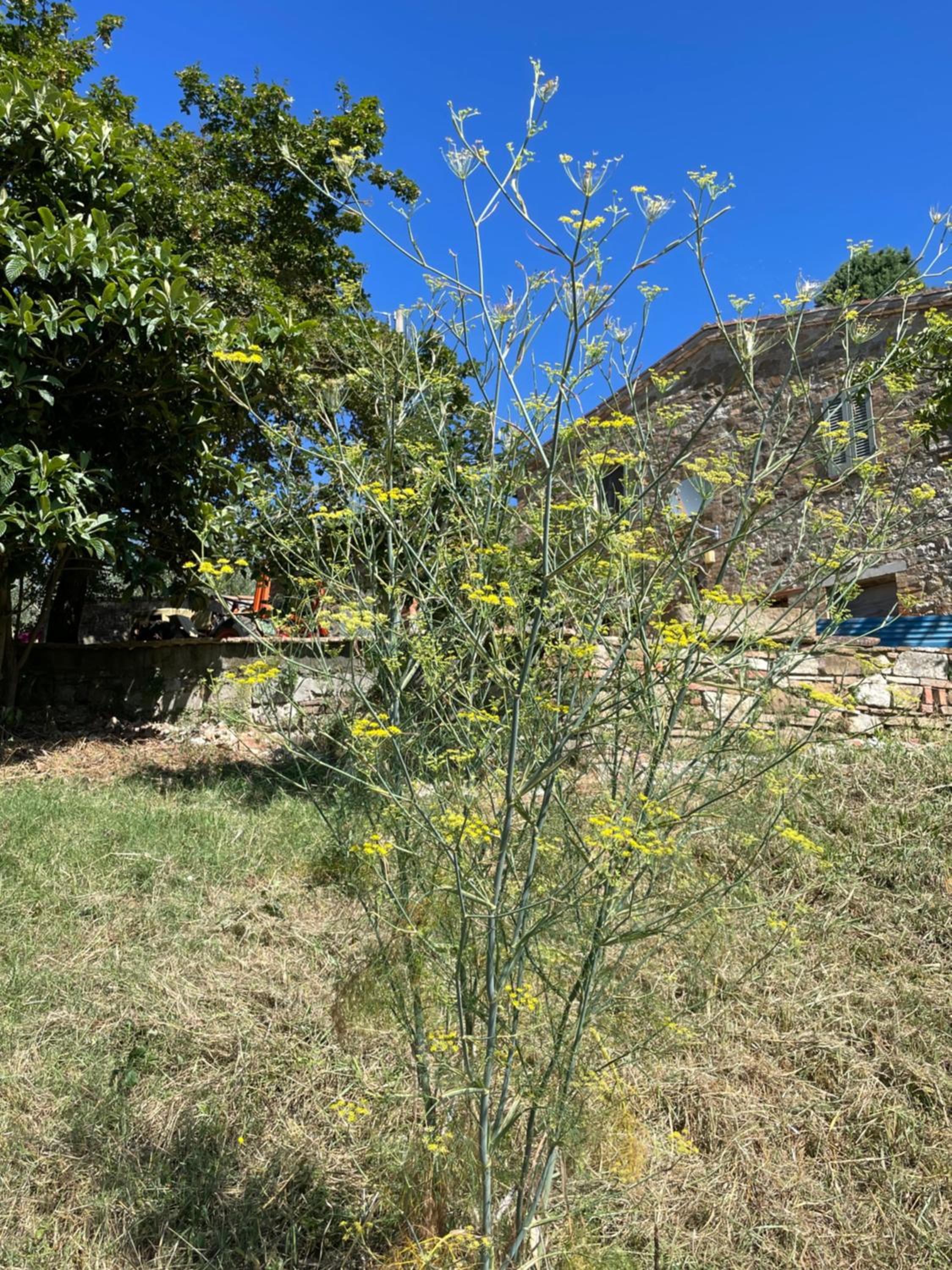 CasaMoira