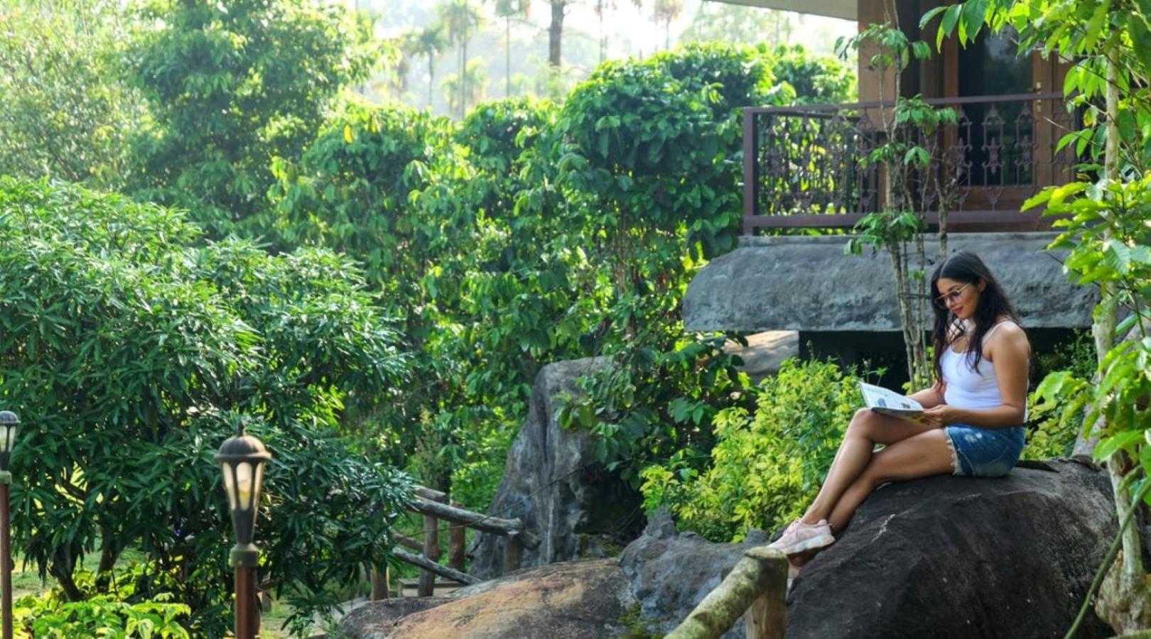 Niyatma Resort view 5