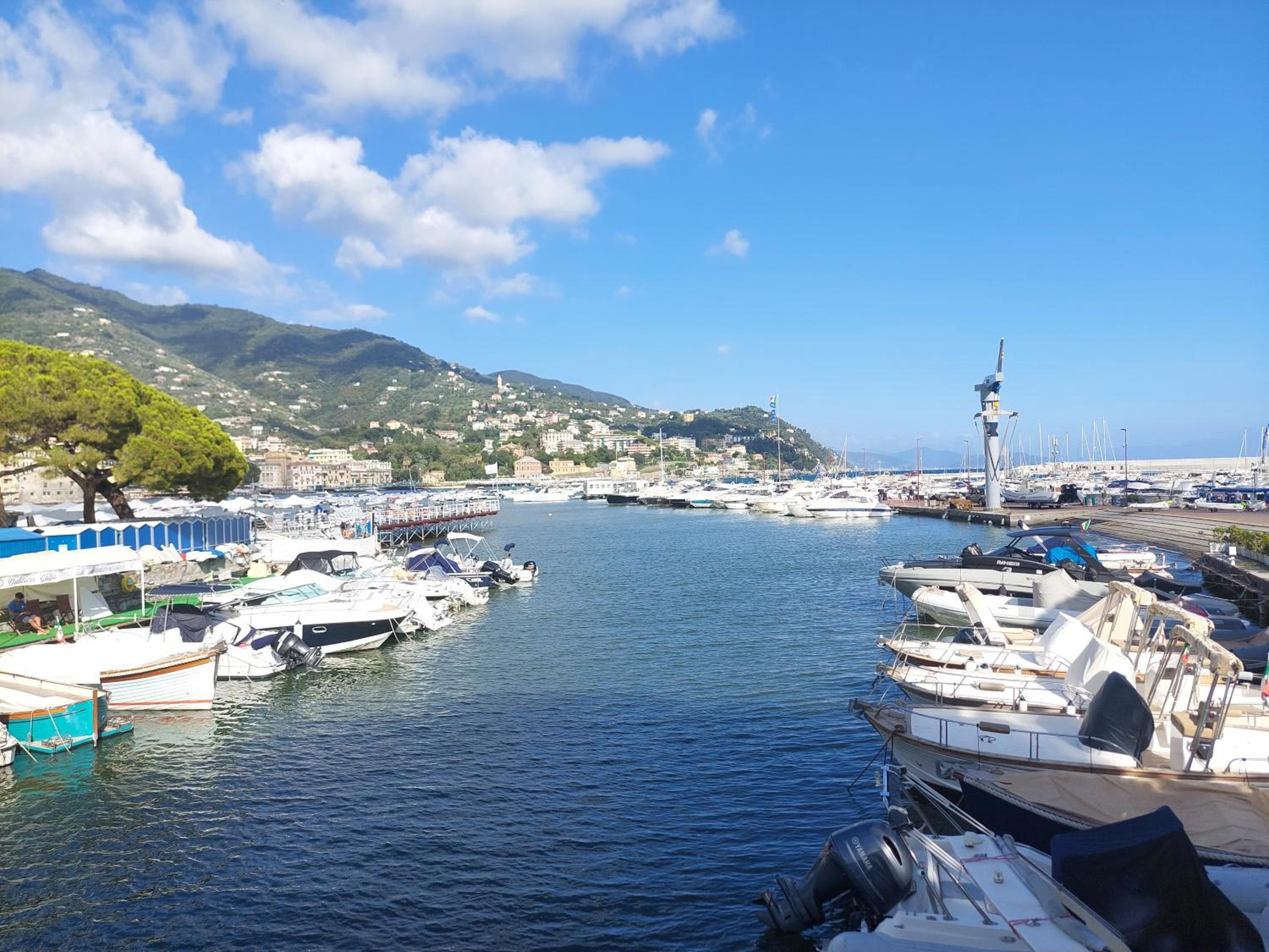 Silvia's Paradise by Holiday World photo 3