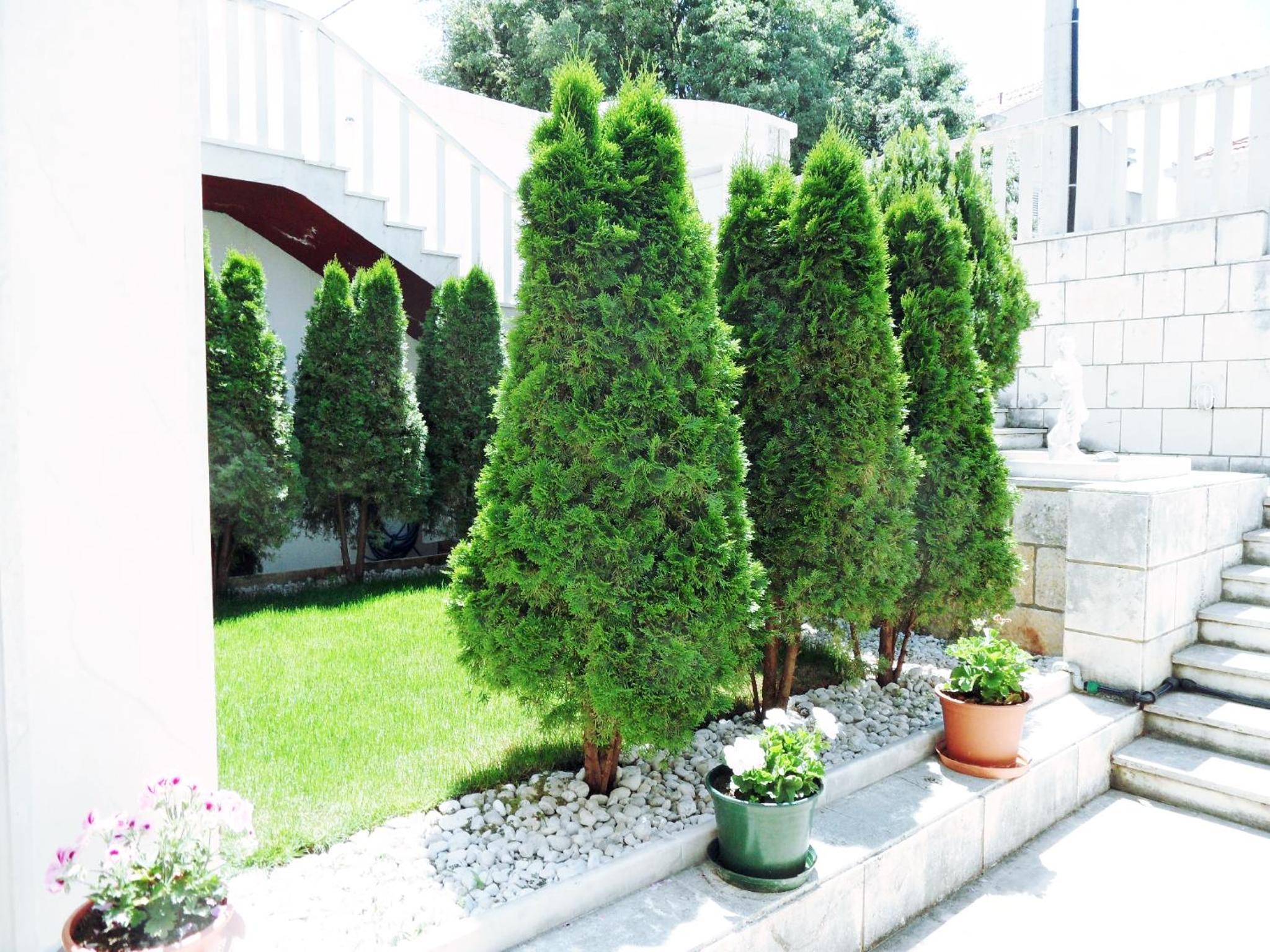 Adria Apartments and Rooms