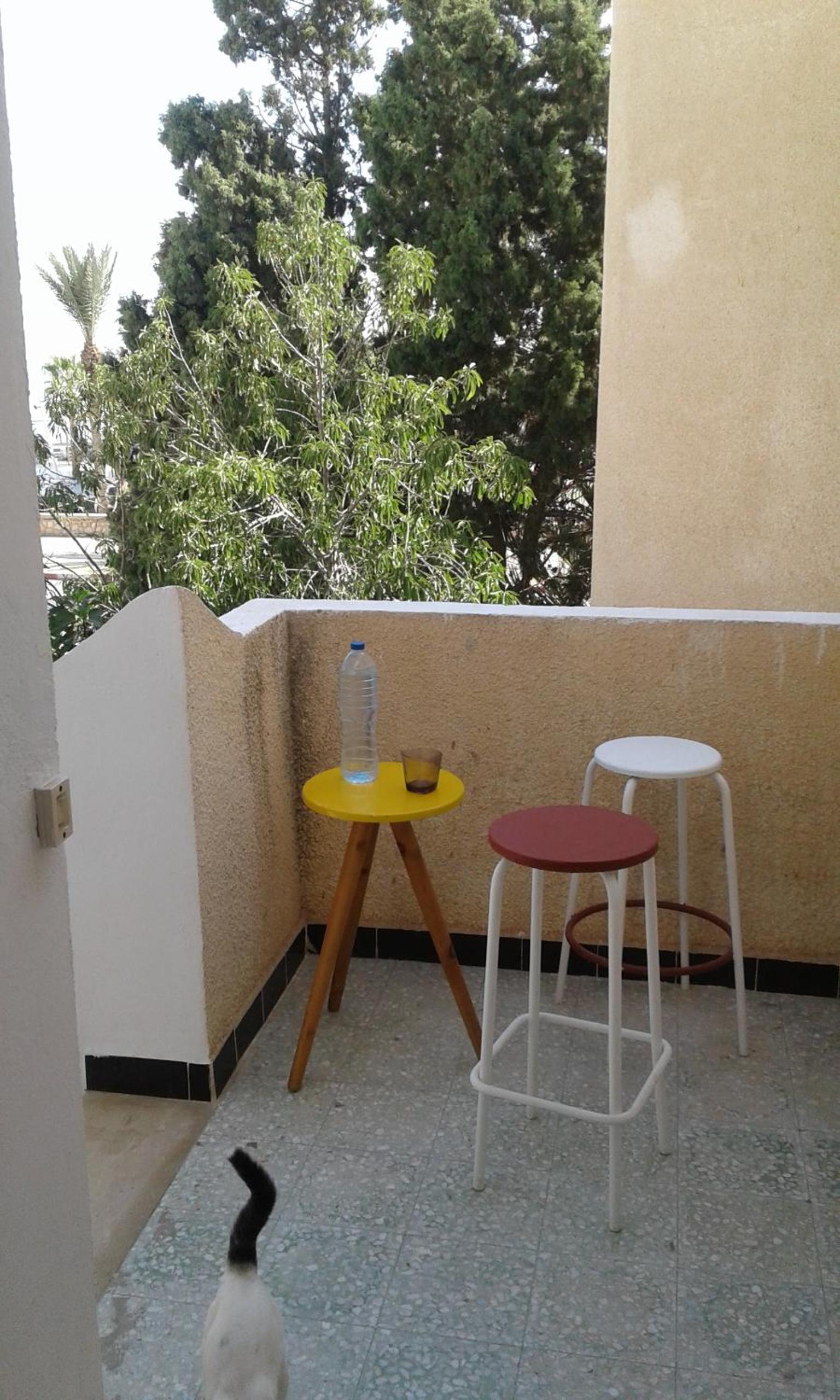 Photo 26