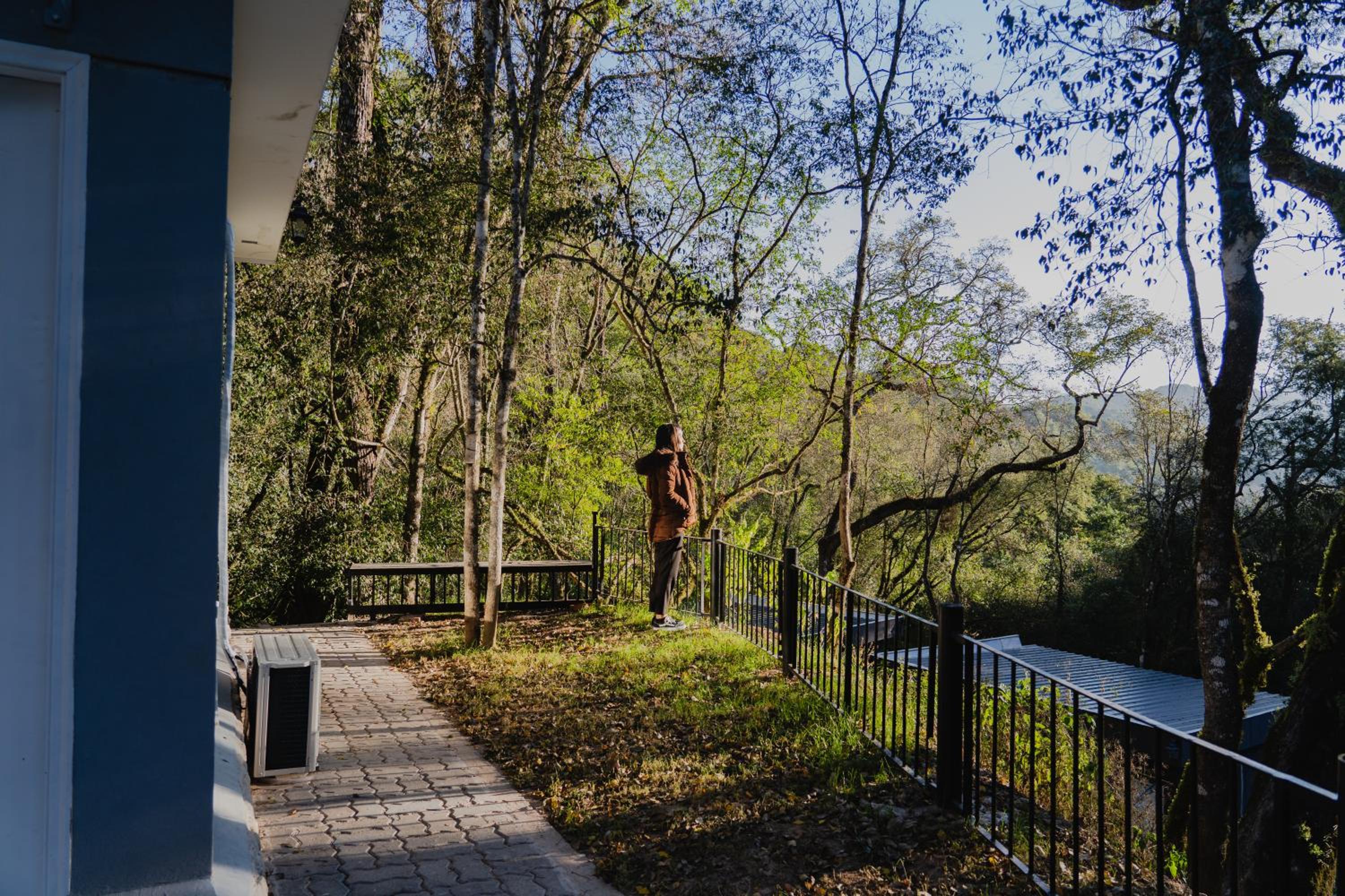 Eco lodge de la selva
