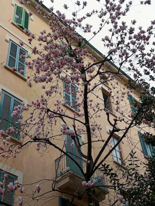 Da Rosa e Pier - Charming central apartment