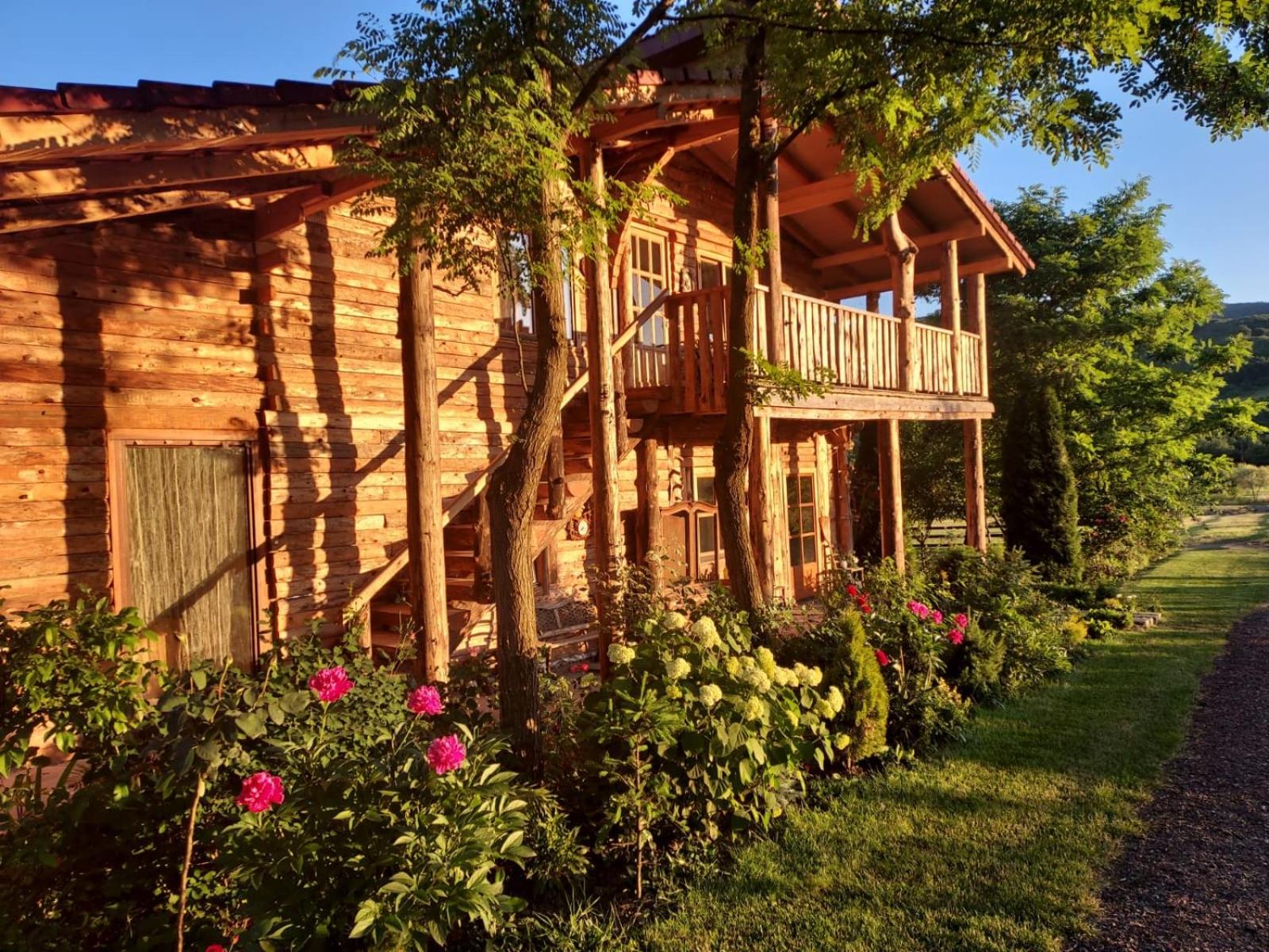 Country Chalet view 4