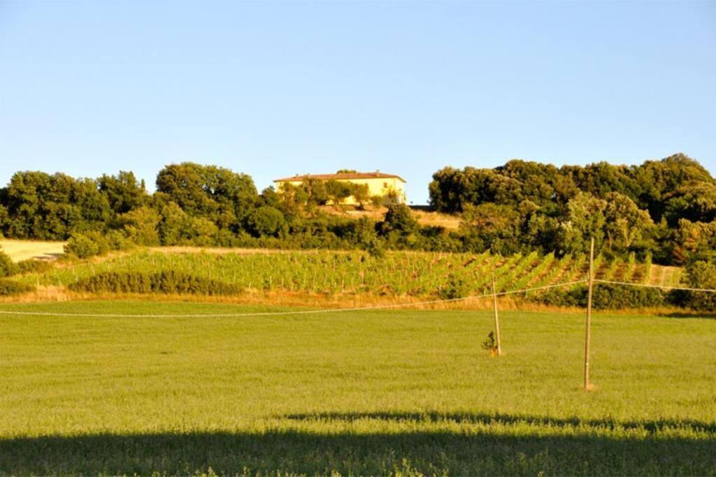 Tenuta Tegolaia
