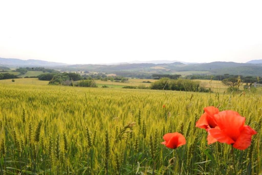 Tenuta Tegolaia