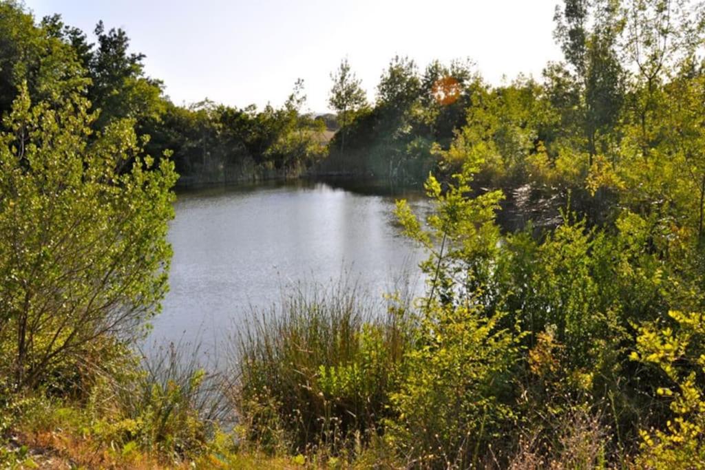 Tenuta Tegolaia