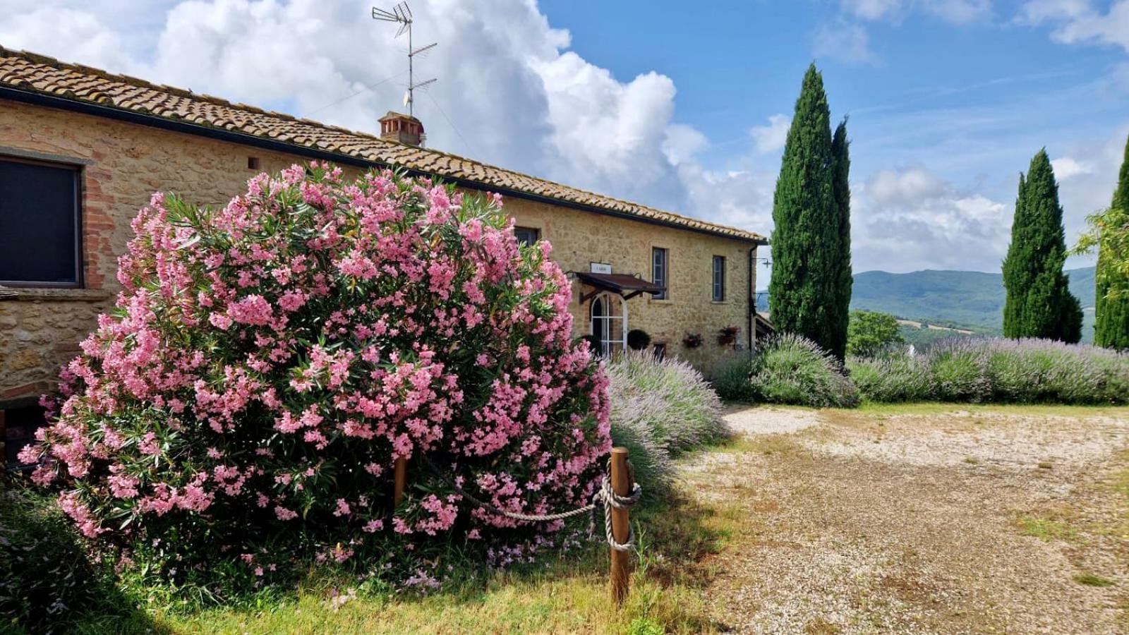 La Toscavera view 3